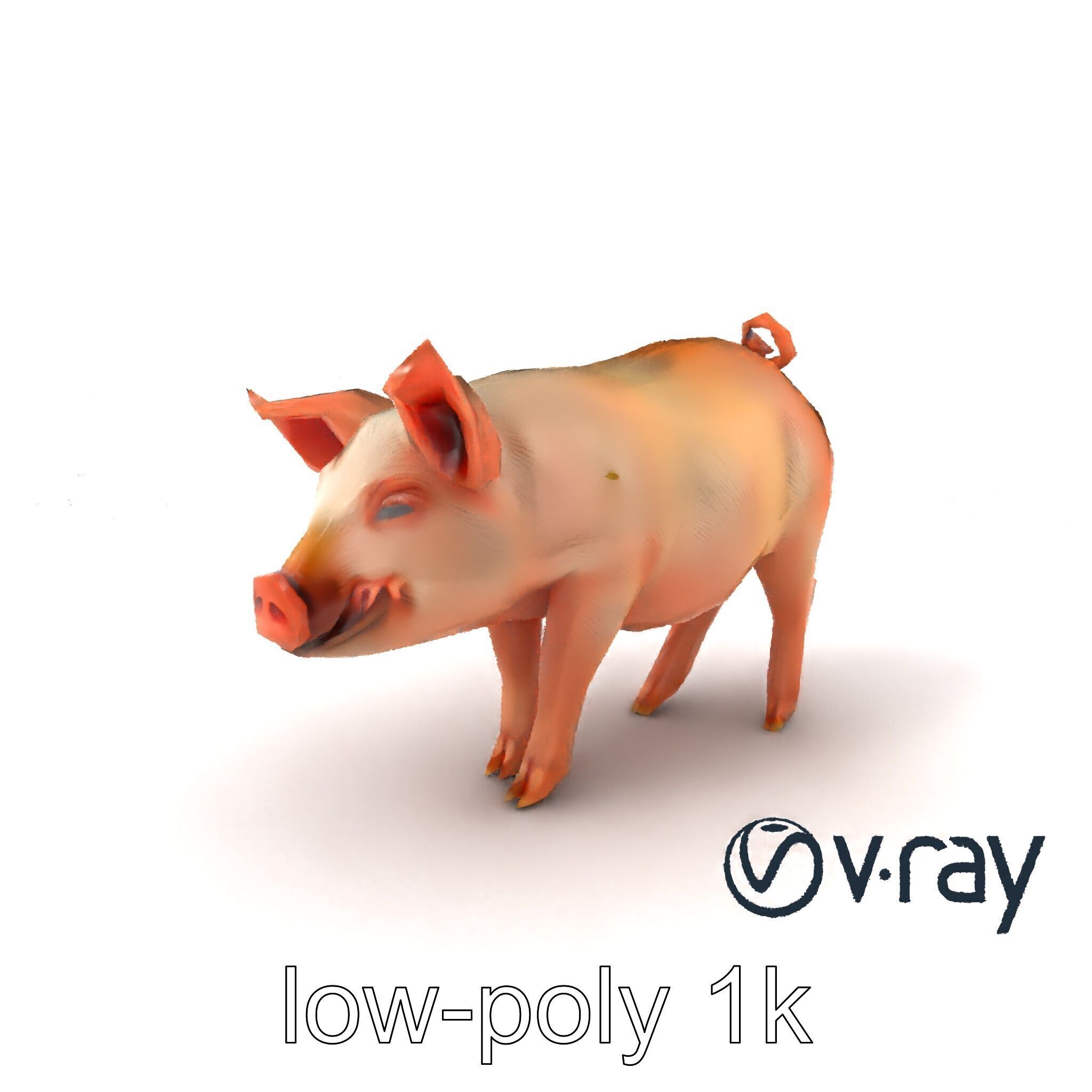 Realistic Pig Model with Pink Body model pack Low-poly 3D model_2