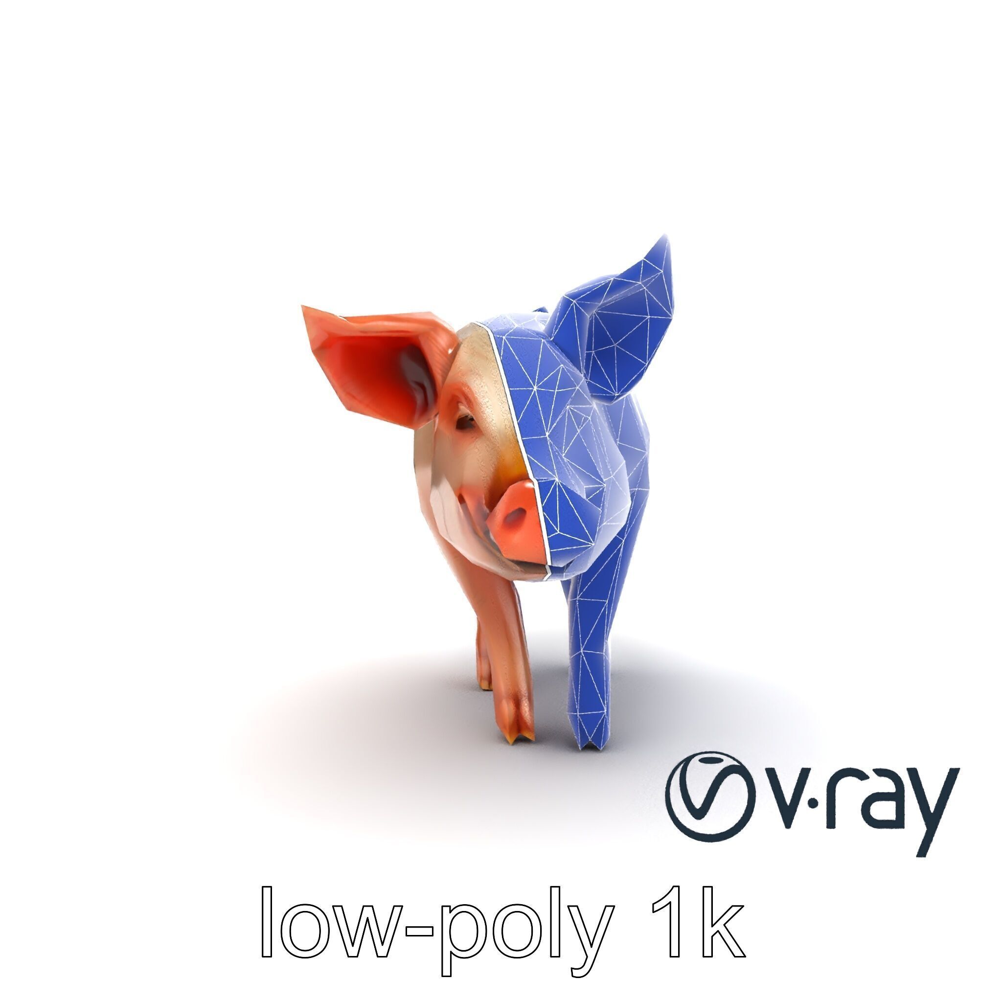 Realistic Pig Model with Pink Body model pack Low-poly 3D model_21
