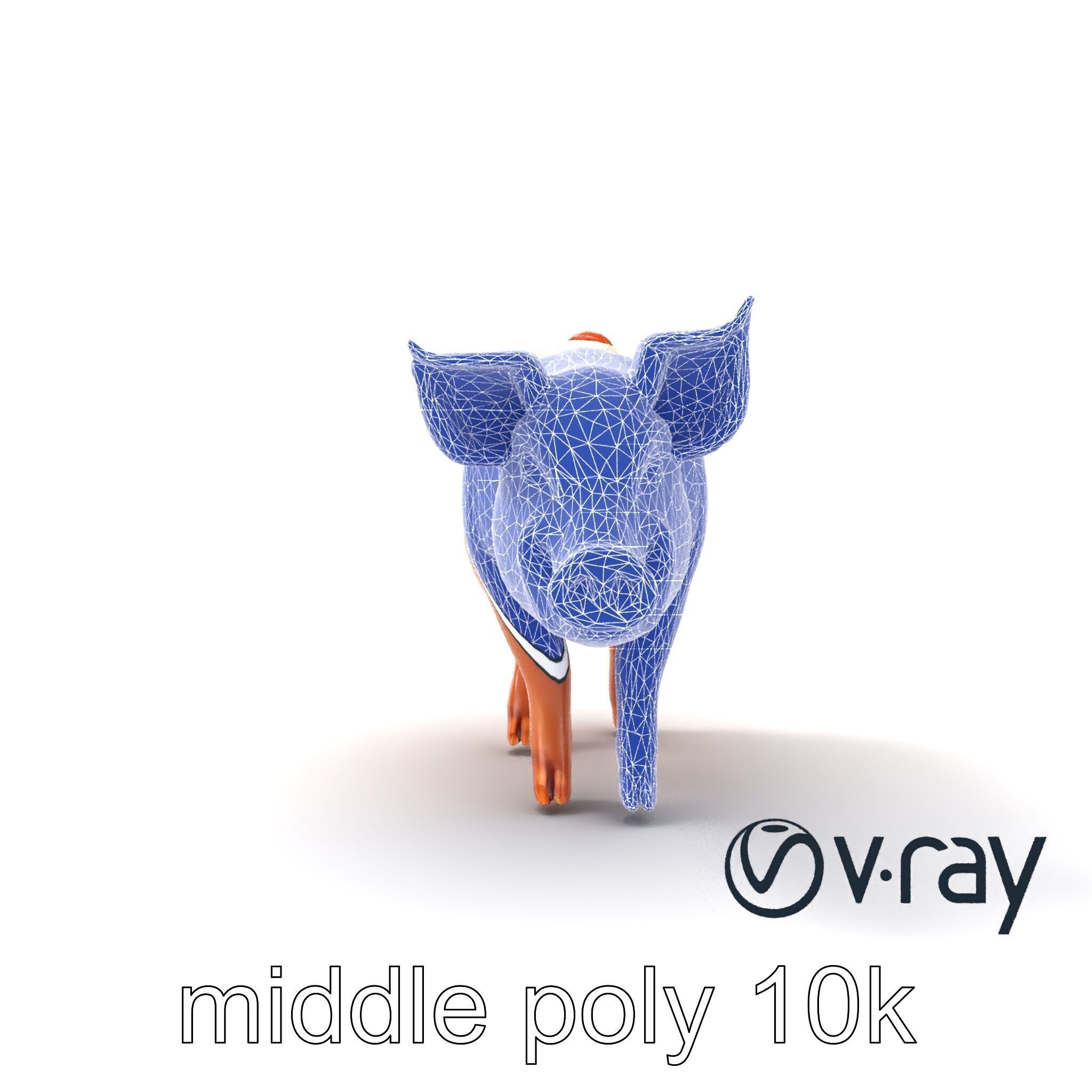 Realistic Pig Model with Pink Body model pack Low-poly 3D model_30