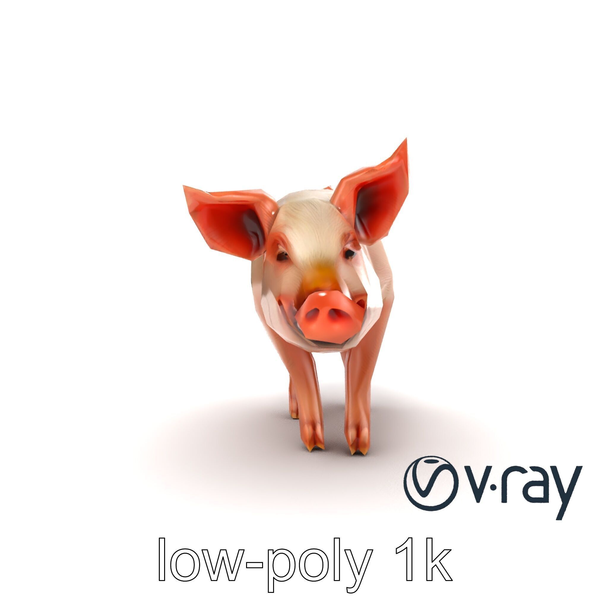 Realistic Pig Model with Pink Body model pack Low-poly 3D model_13