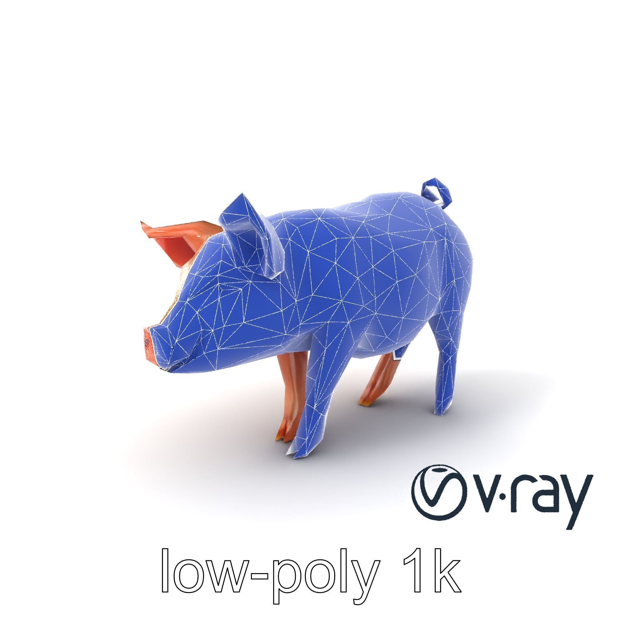 Realistic Pig Model with Pink Body model pack Low-poly 3D model_5