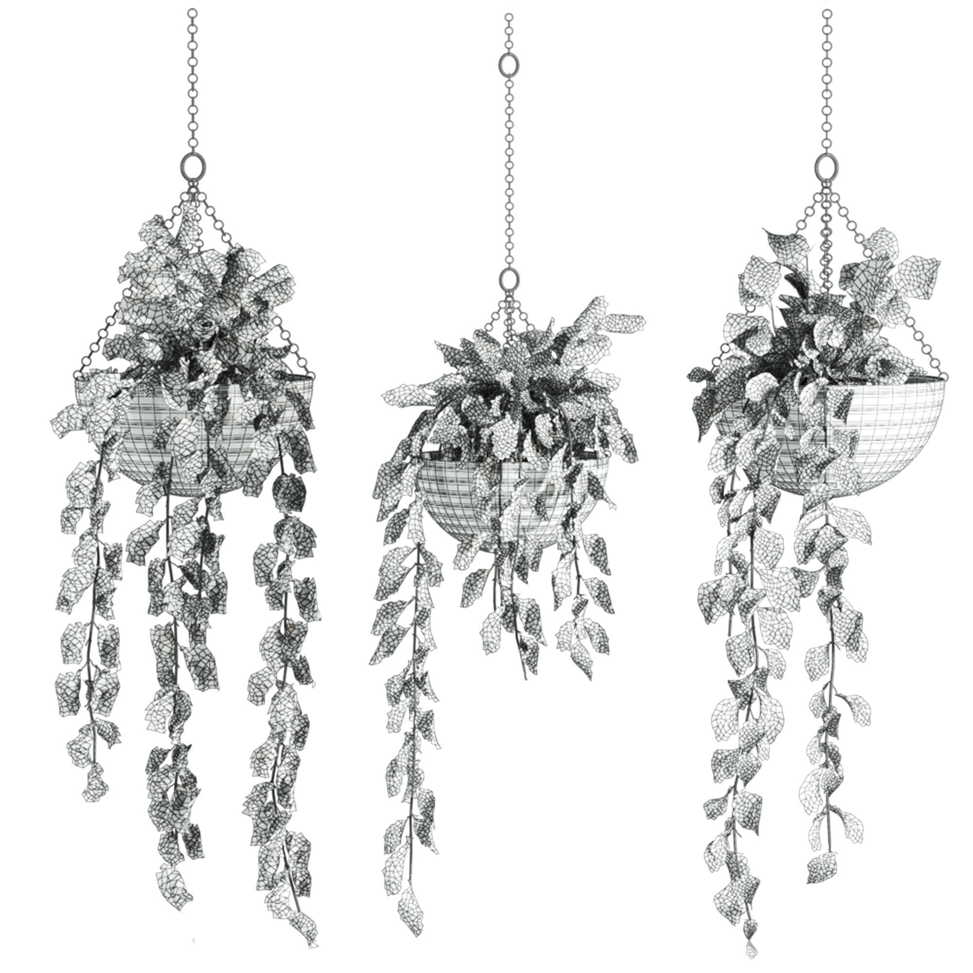 Plants Set 3D model_1