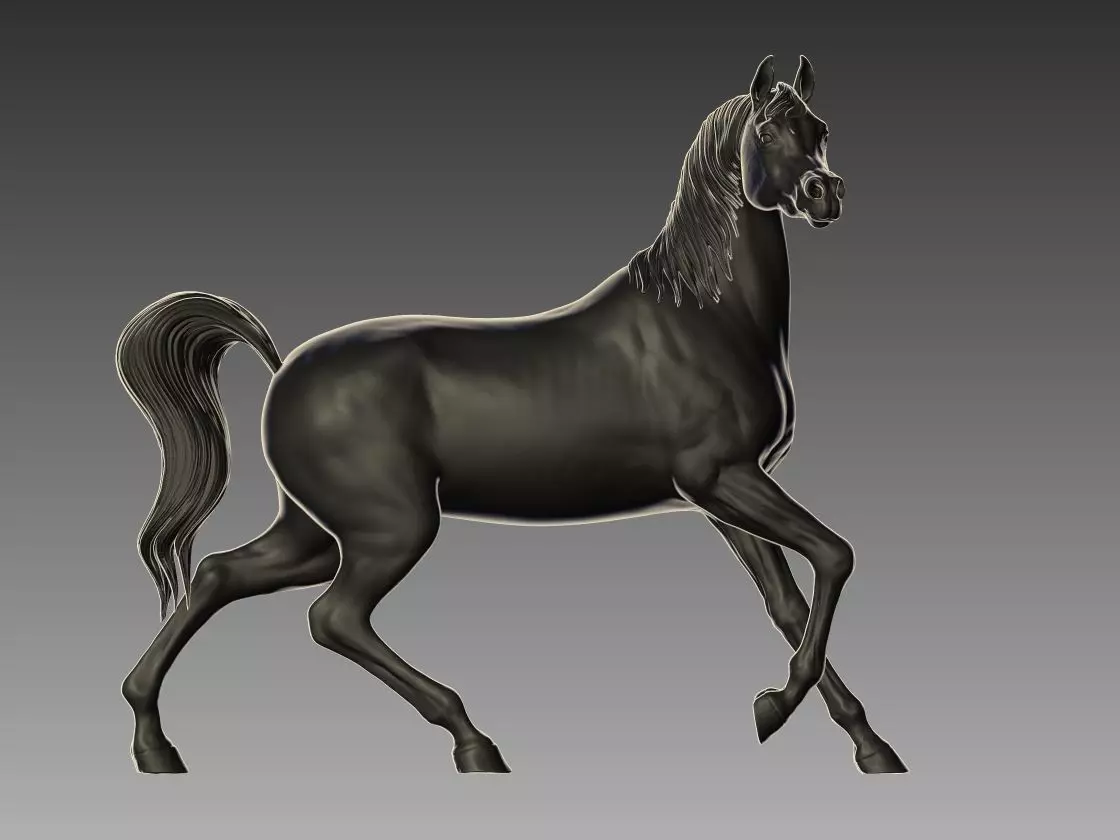 Arabian Horse Pose 01 3D print model