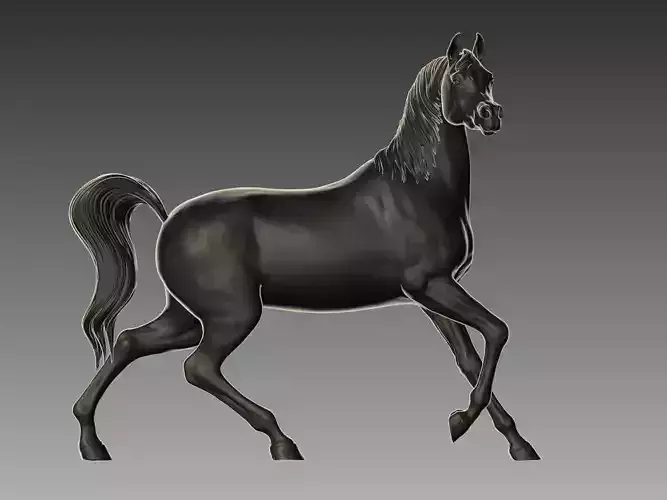 Arabian Horse Pose 01