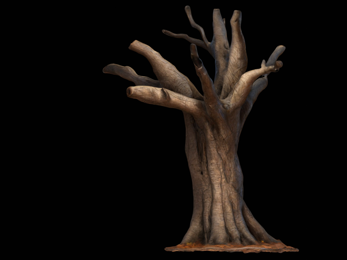 Dry Dead Tree Free low-poly 3D model_6