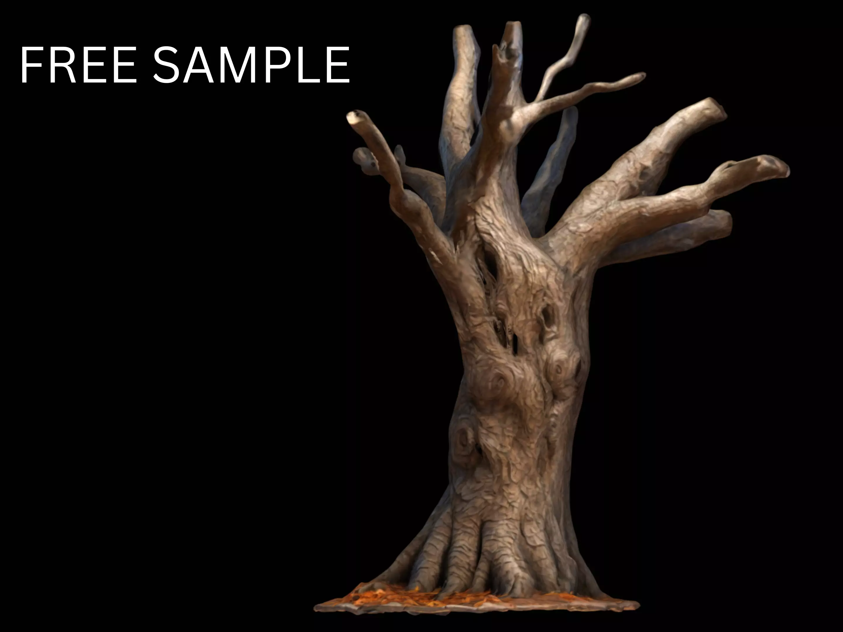 Dry Dead Tree Free low-poly 3D model_0