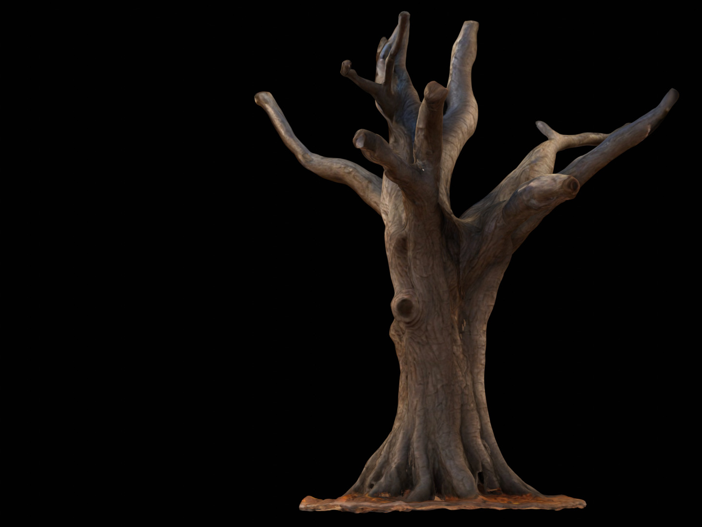 Dry Dead Tree Free low-poly 3D model_8