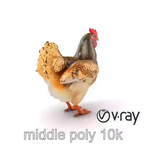 Speckled Chicken Realistic Texture model pack