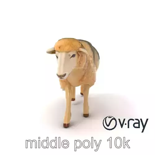 Fluffy Sheep Grazing Stance model pack Low-poly 3D model