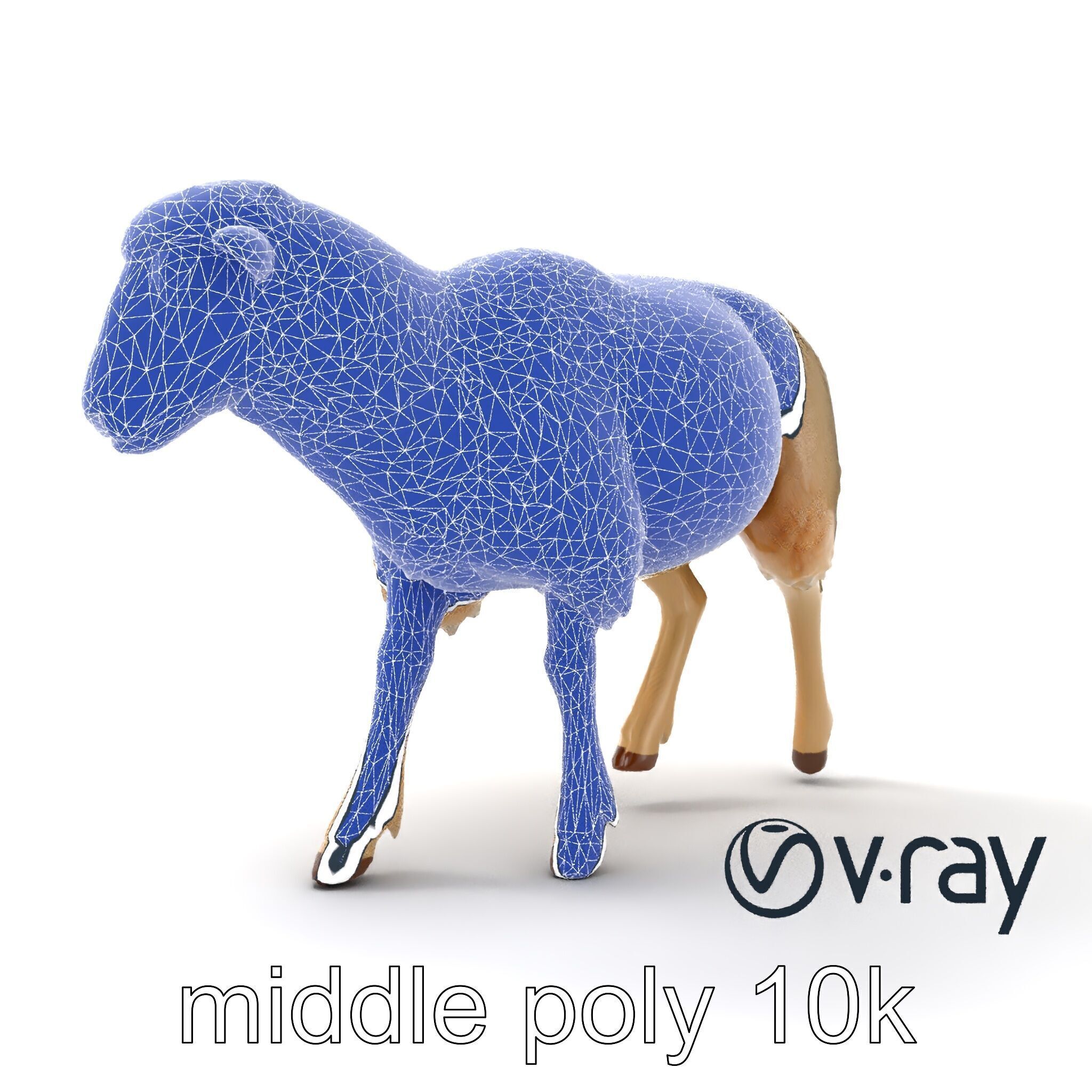Fluffy Sheep Grazing Stance model pack Low-poly 3D model_23