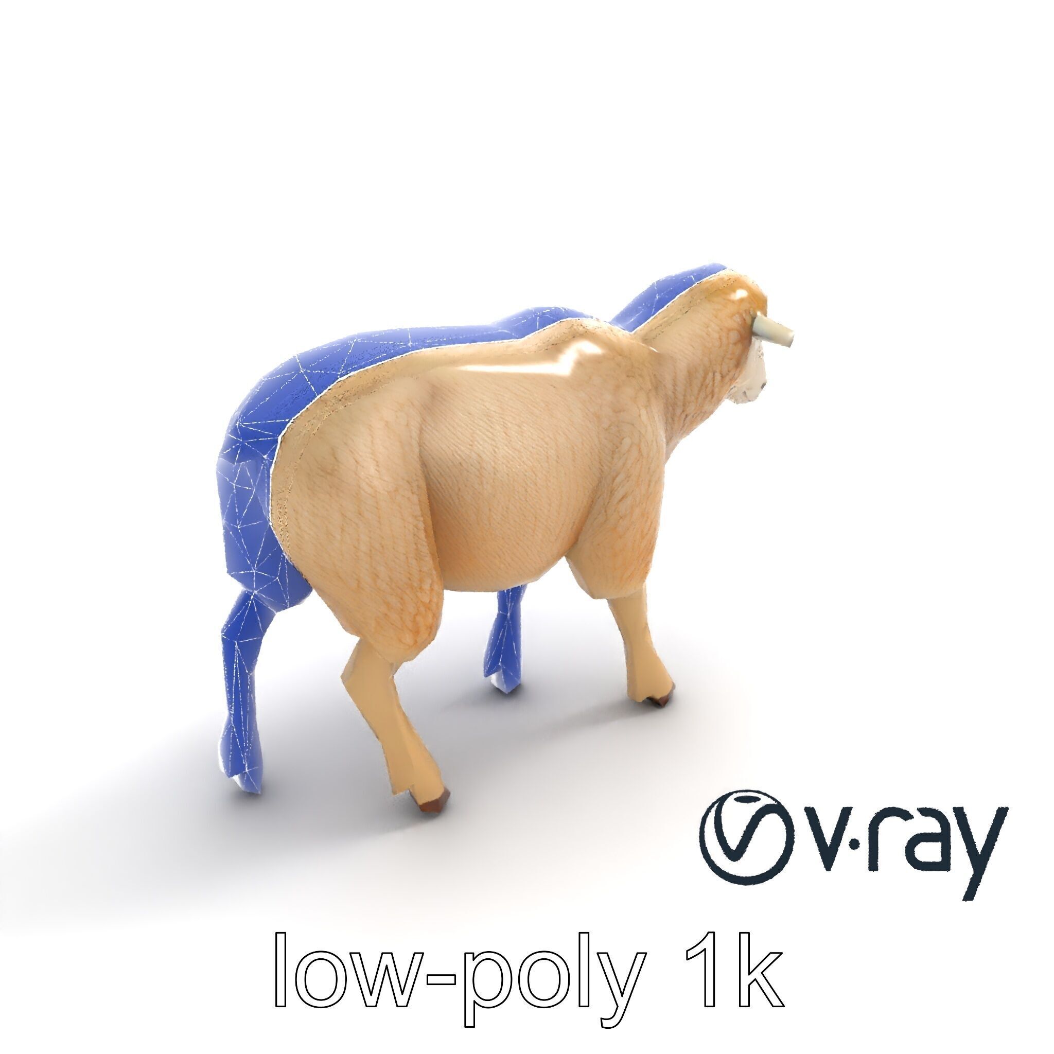 Fluffy Sheep Grazing Stance model pack Low-poly 3D model_12