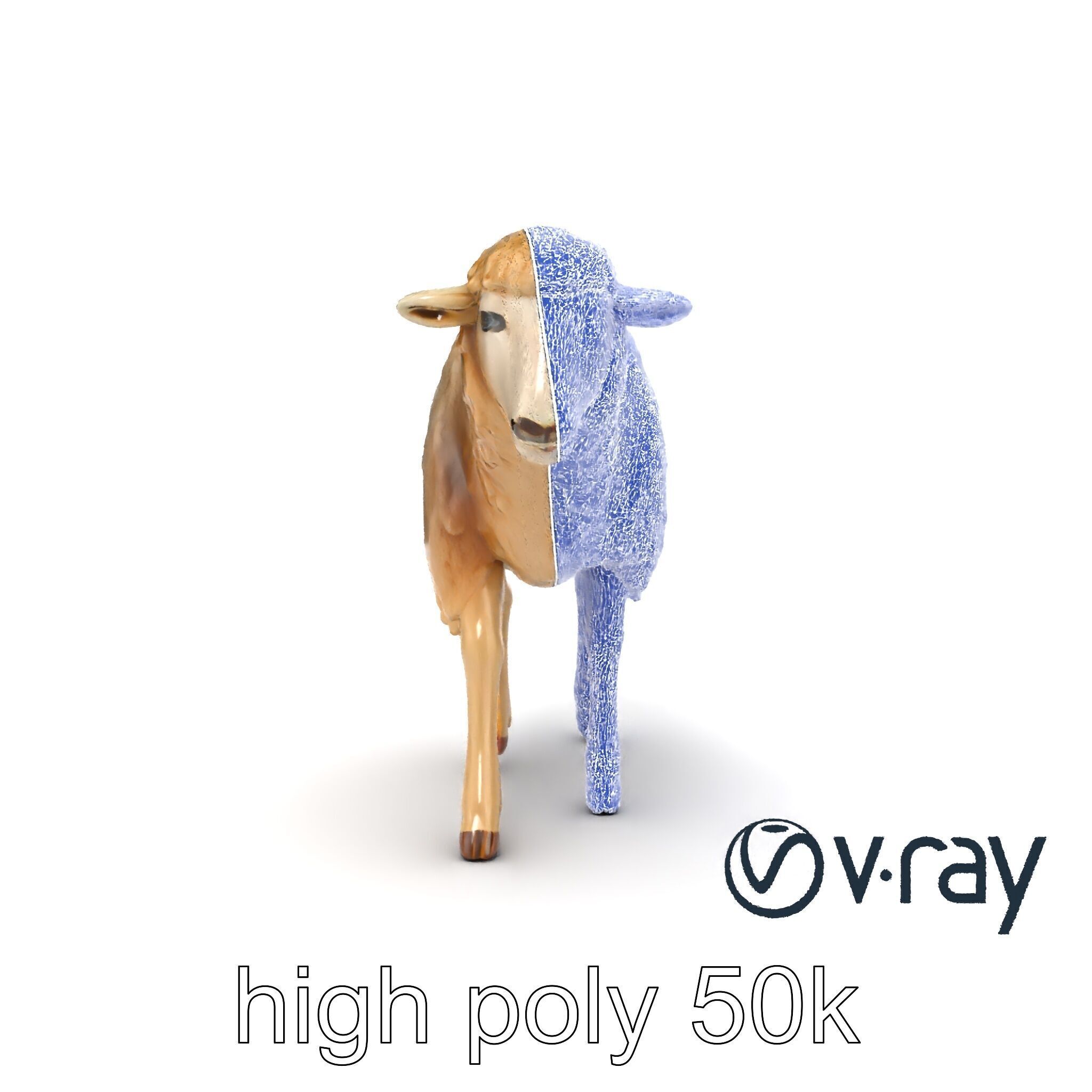 Fluffy Sheep Grazing Stance model pack Low-poly 3D model_28