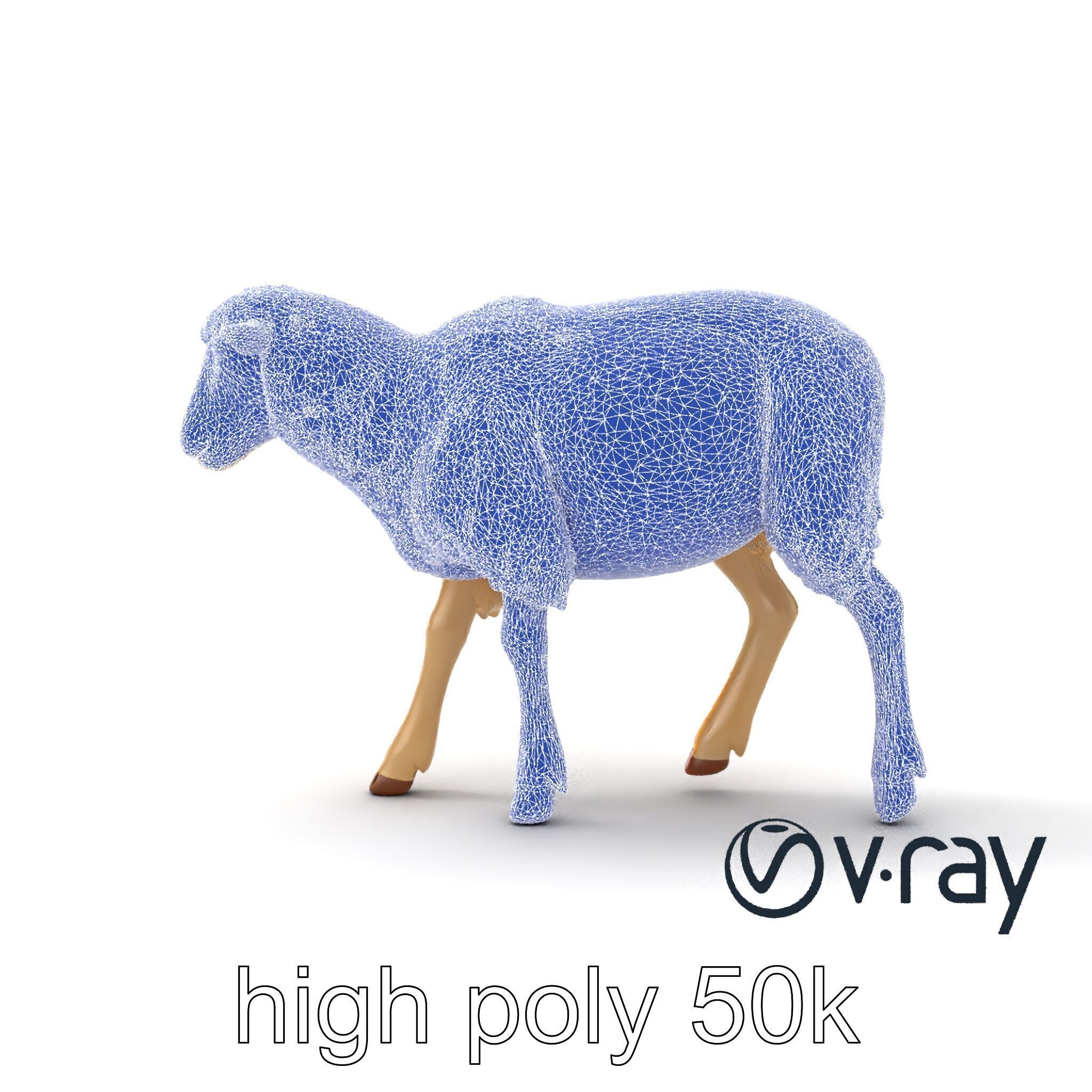 Fluffy Sheep Grazing Stance model pack Low-poly 3D model_29