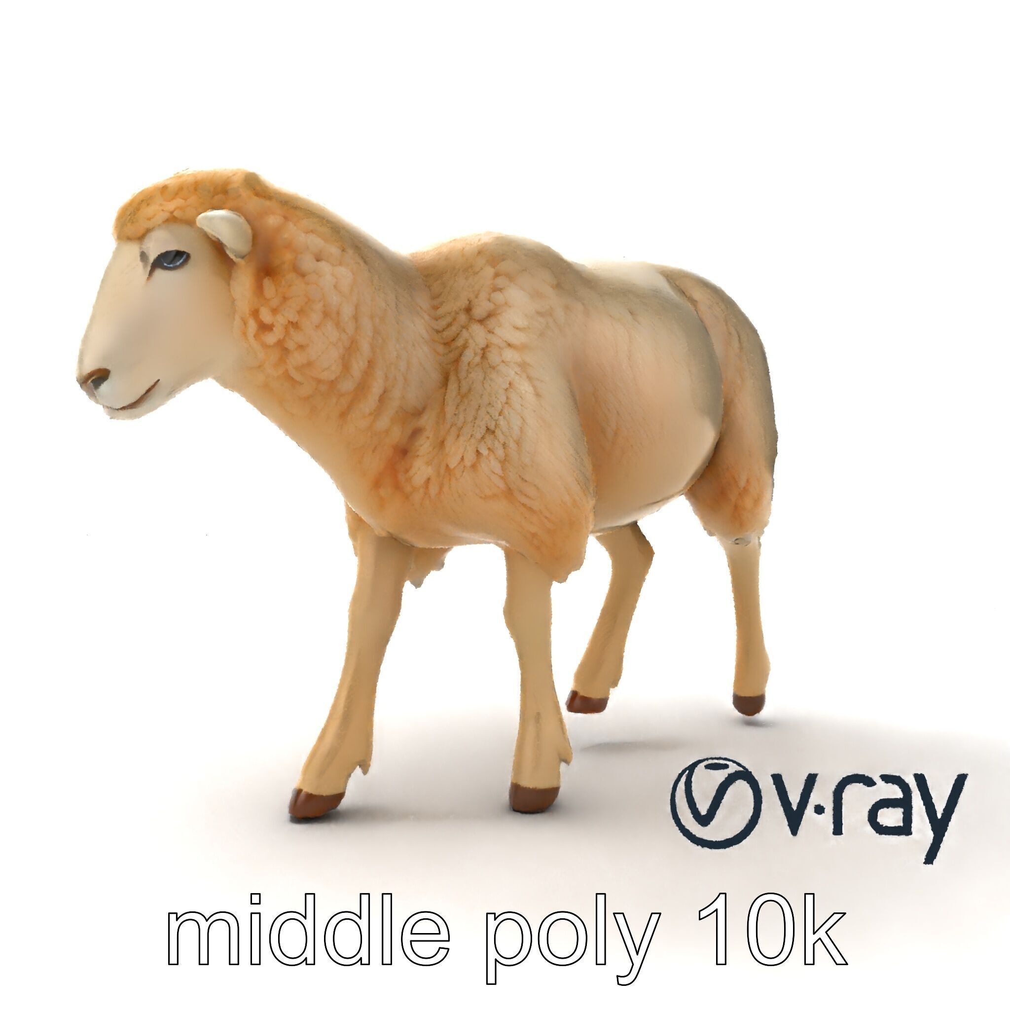Fluffy Sheep Grazing Stance model pack Low-poly 3D model_10