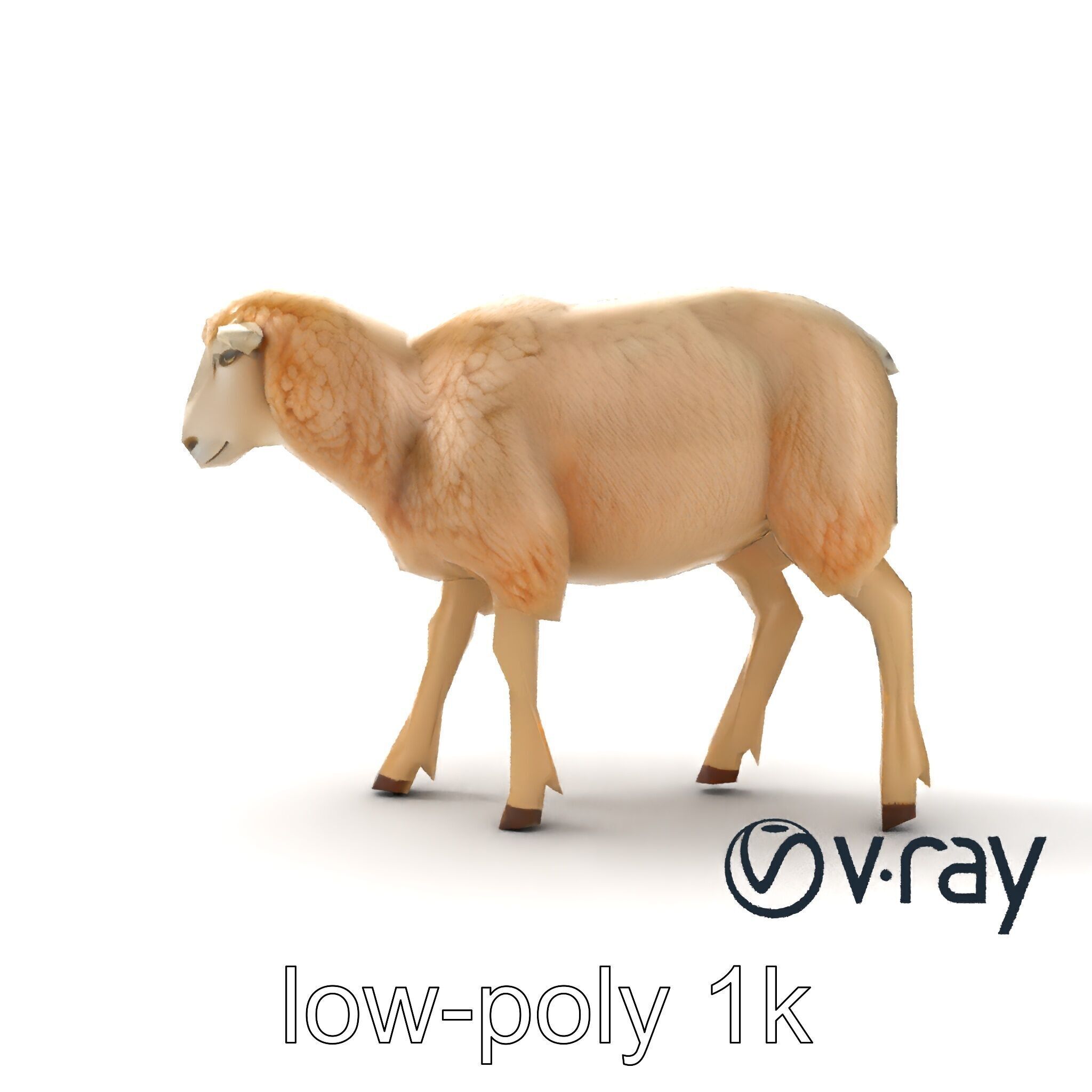 Fluffy Sheep Grazing Stance model pack Low-poly 3D model_19