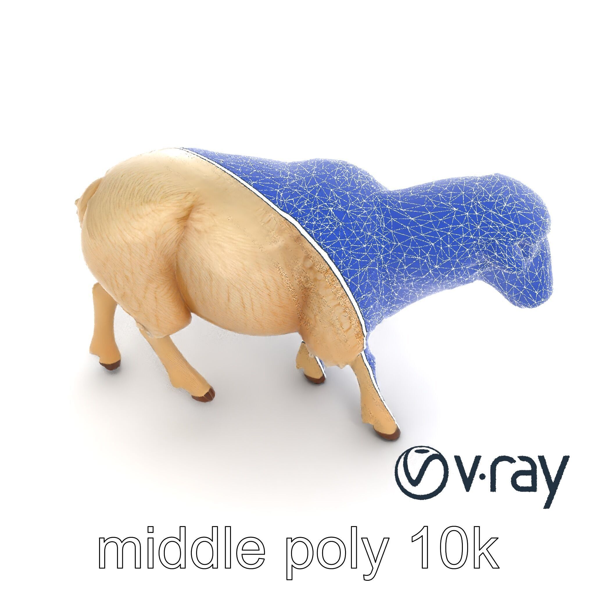 Fluffy Sheep Grazing Stance model pack Low-poly 3D model_31
