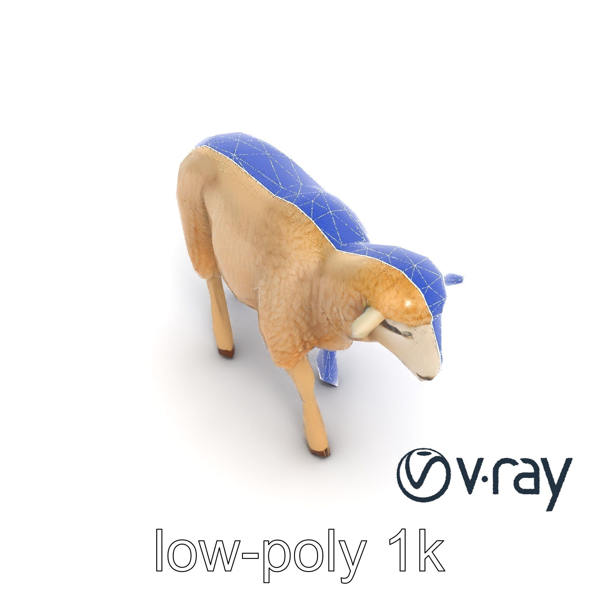 Fluffy Sheep Grazing Stance model pack Low-poly 3D model_20