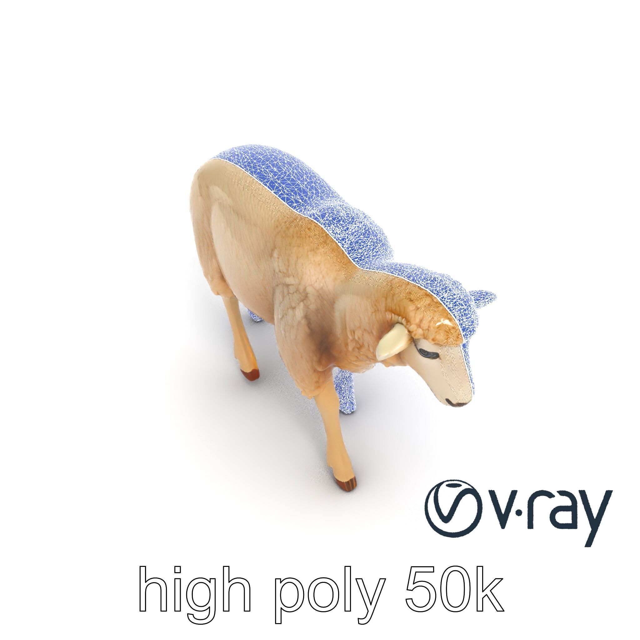 Fluffy Sheep Grazing Stance model pack Low-poly 3D model_30