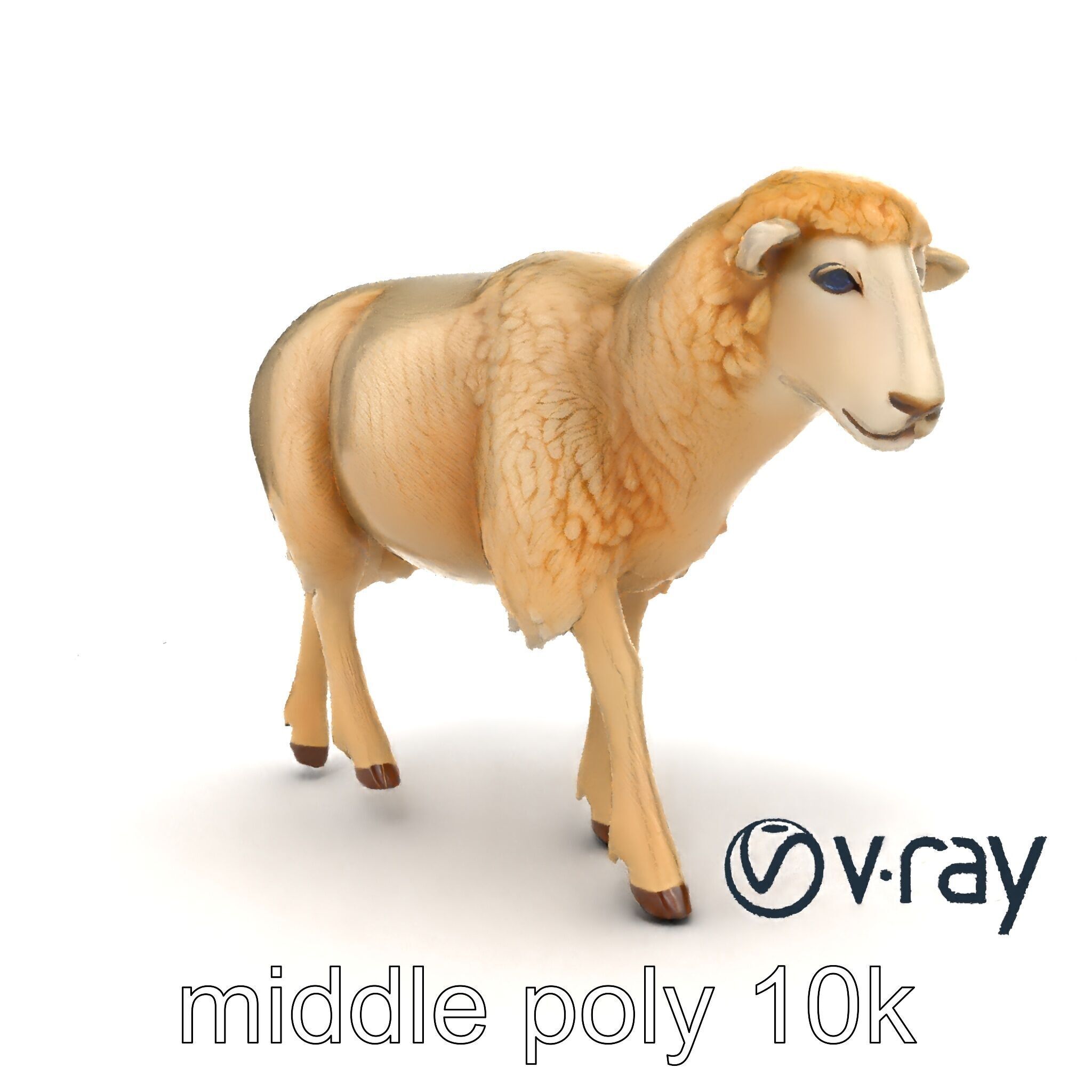 Fluffy Sheep Grazing Stance model pack Low-poly 3D model_22