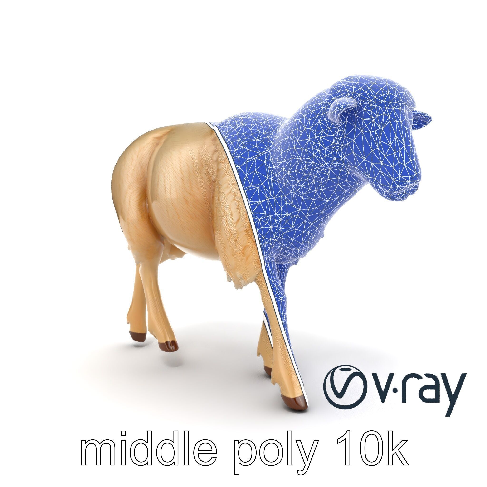 Fluffy Sheep Grazing Stance model pack Low-poly 3D model_27