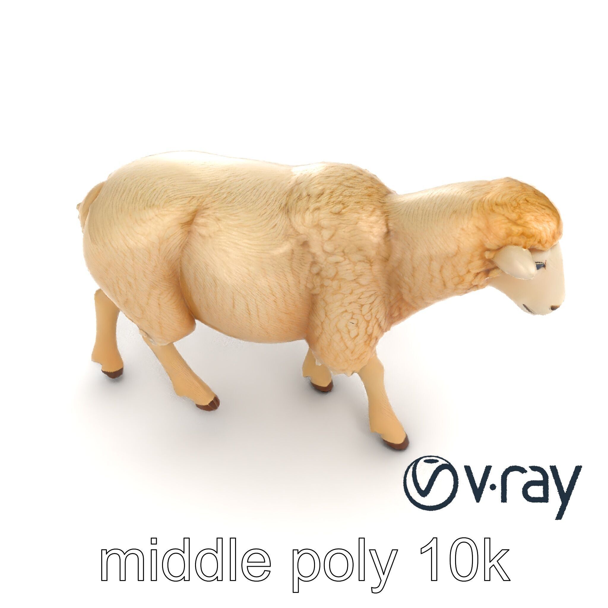 Fluffy Sheep Grazing Stance model pack Low-poly 3D model_7