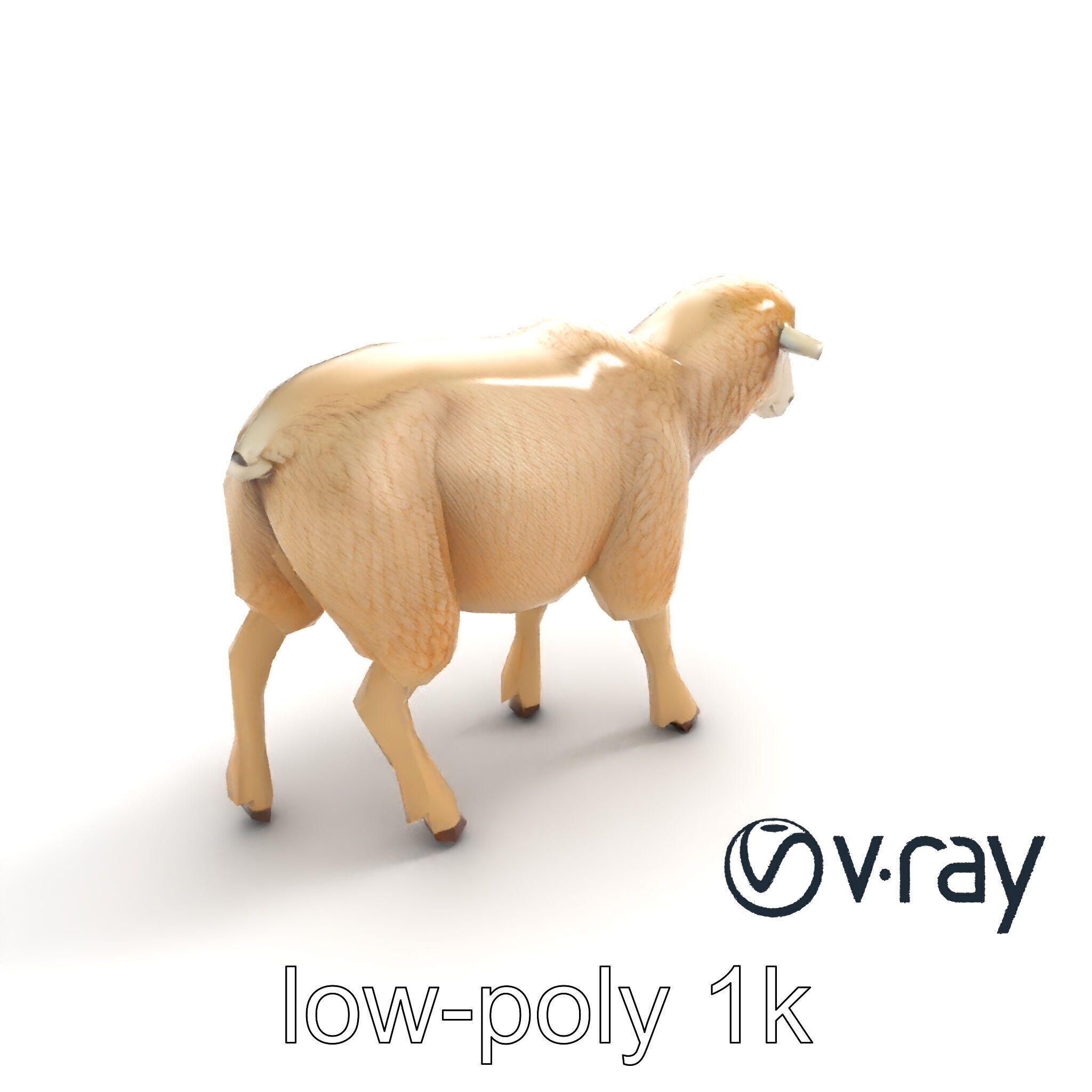 Fluffy Sheep Grazing Stance model pack Low-poly 3D model_8