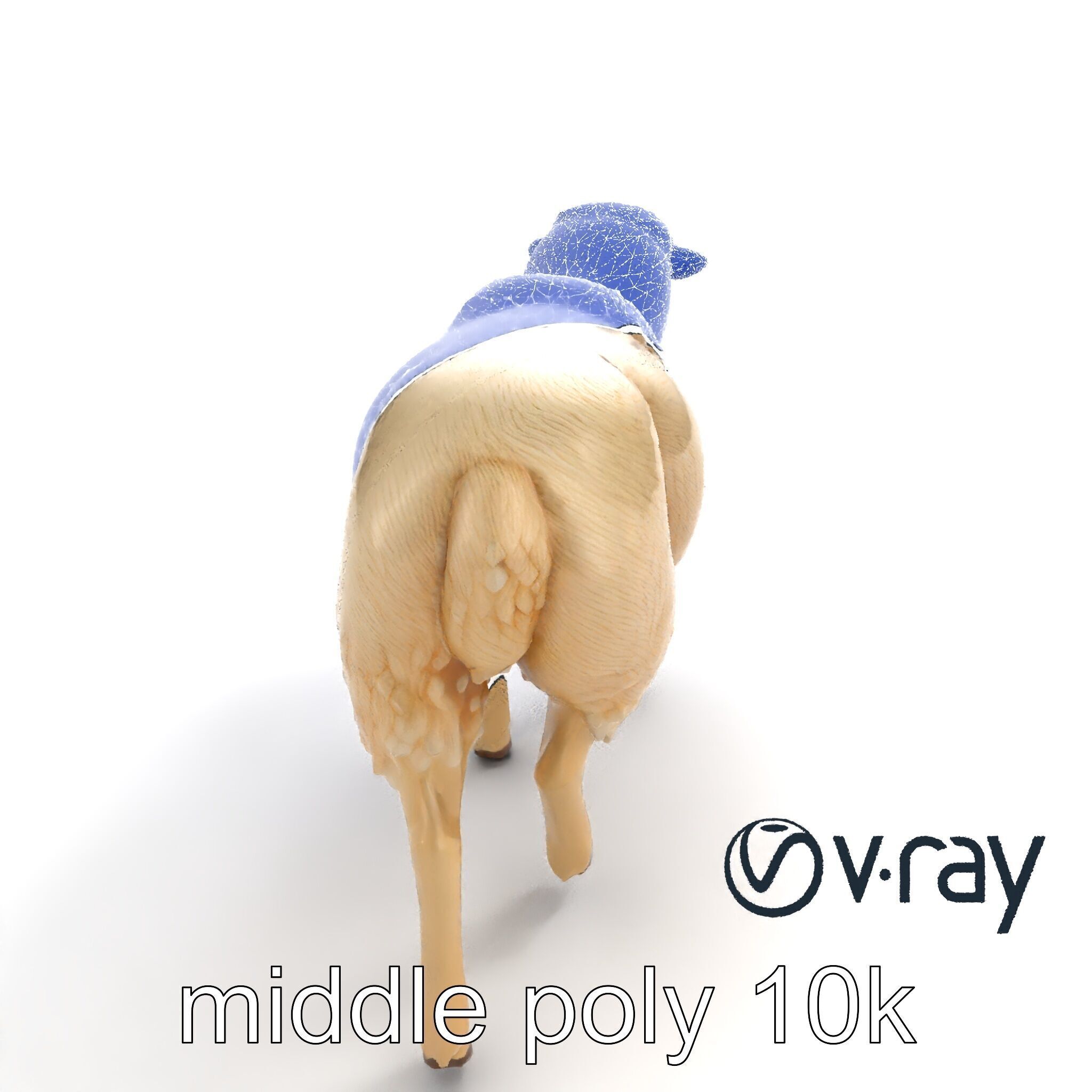 Fluffy Sheep Grazing Stance model pack Low-poly 3D model_17