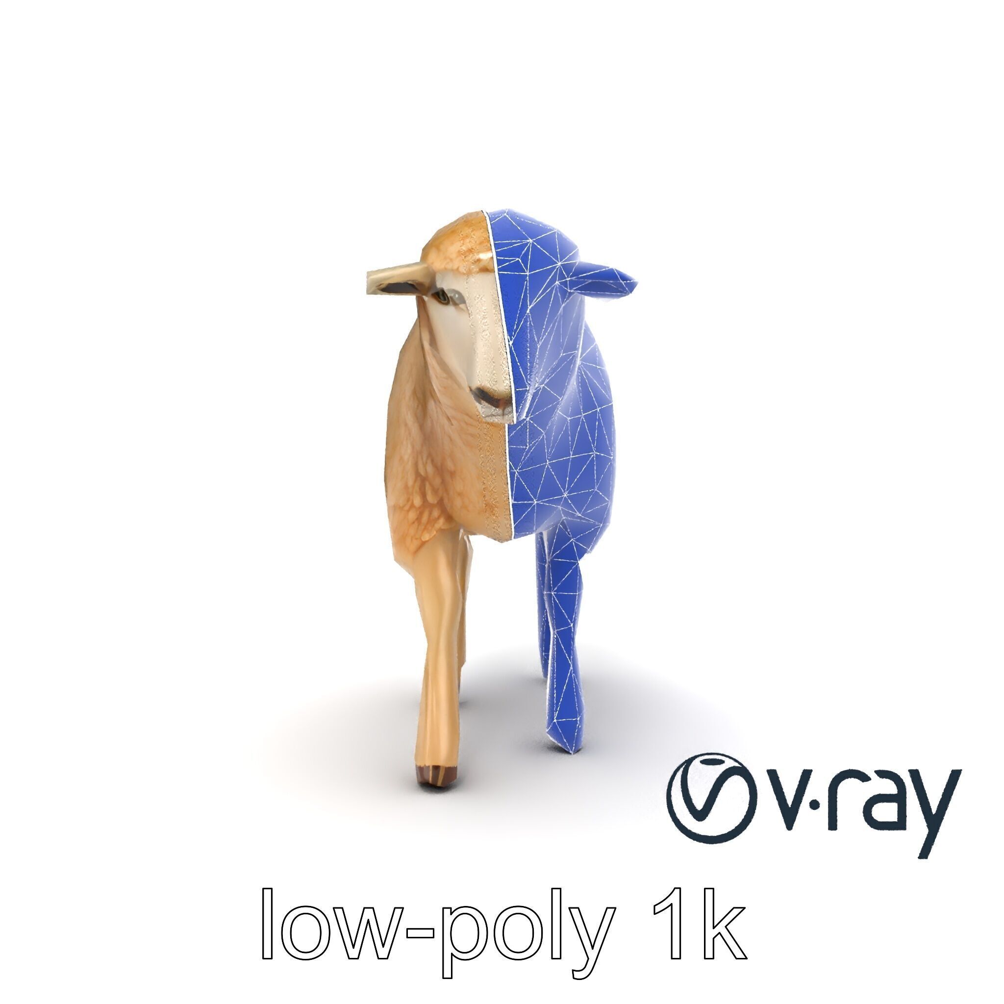 Fluffy Sheep Grazing Stance model pack Low-poly 3D model_16