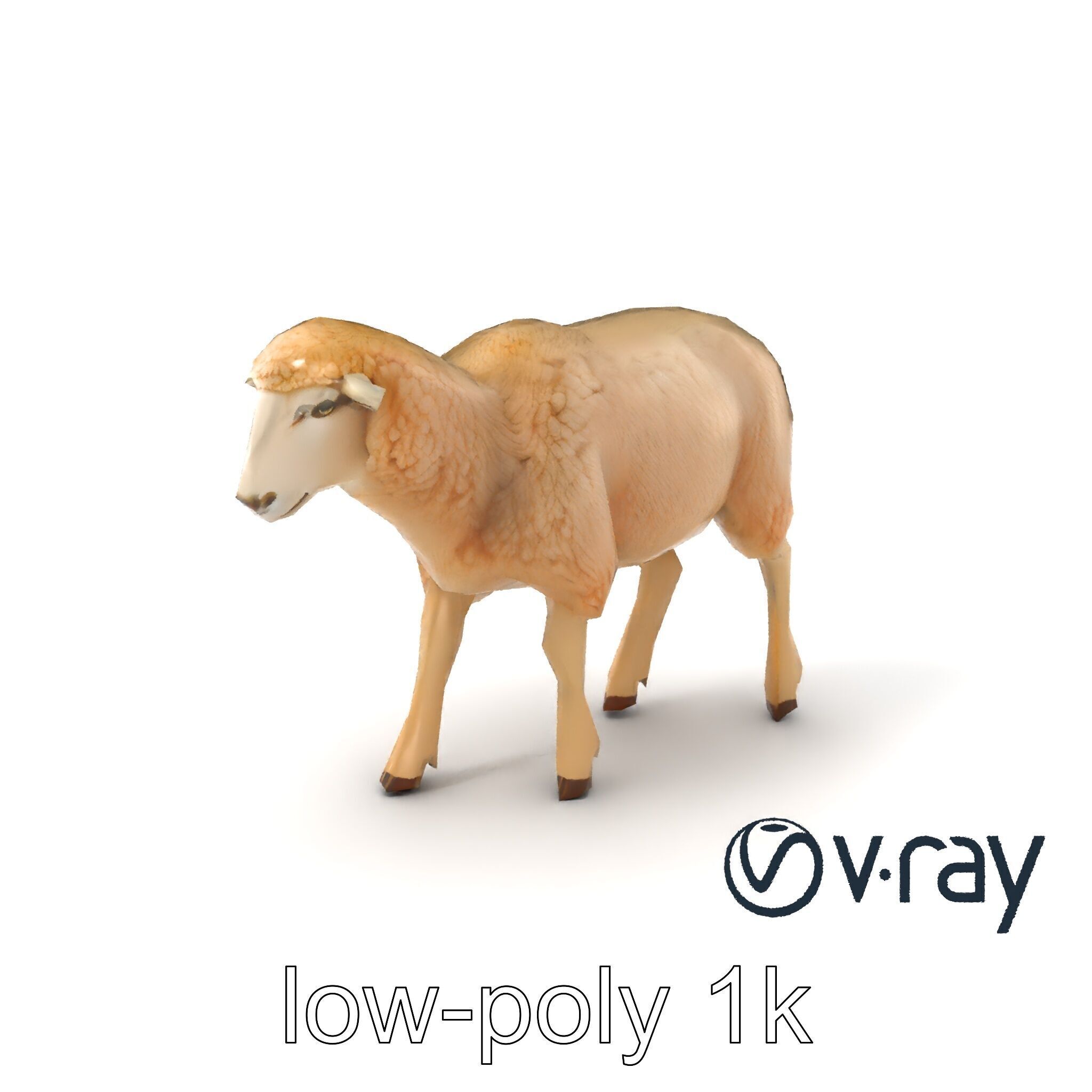 Fluffy Sheep Grazing Stance model pack Low-poly 3D model_2