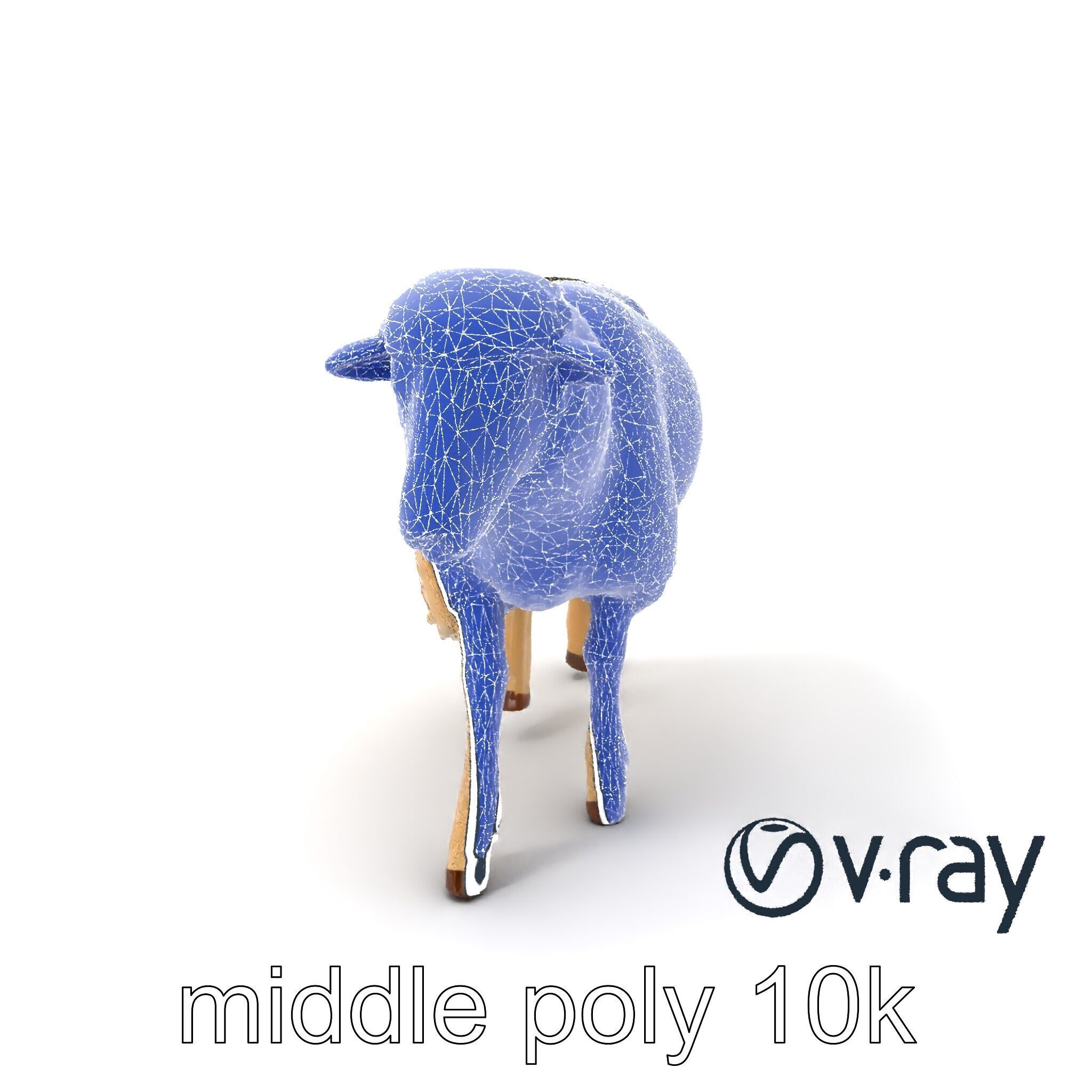 Fluffy Sheep Grazing Stance model pack Low-poly 3D model_13