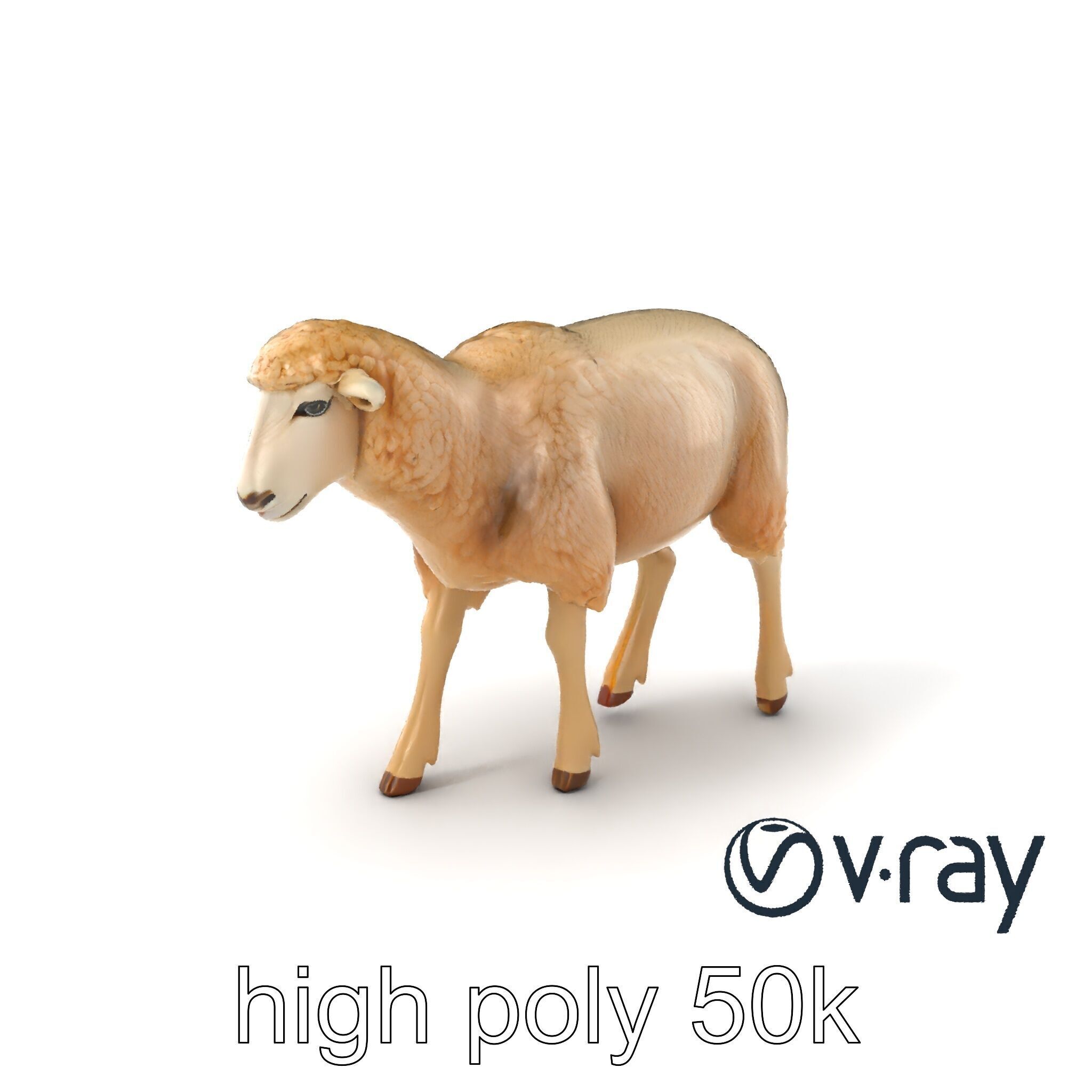 Fluffy Sheep Grazing Stance model pack Low-poly 3D model_6