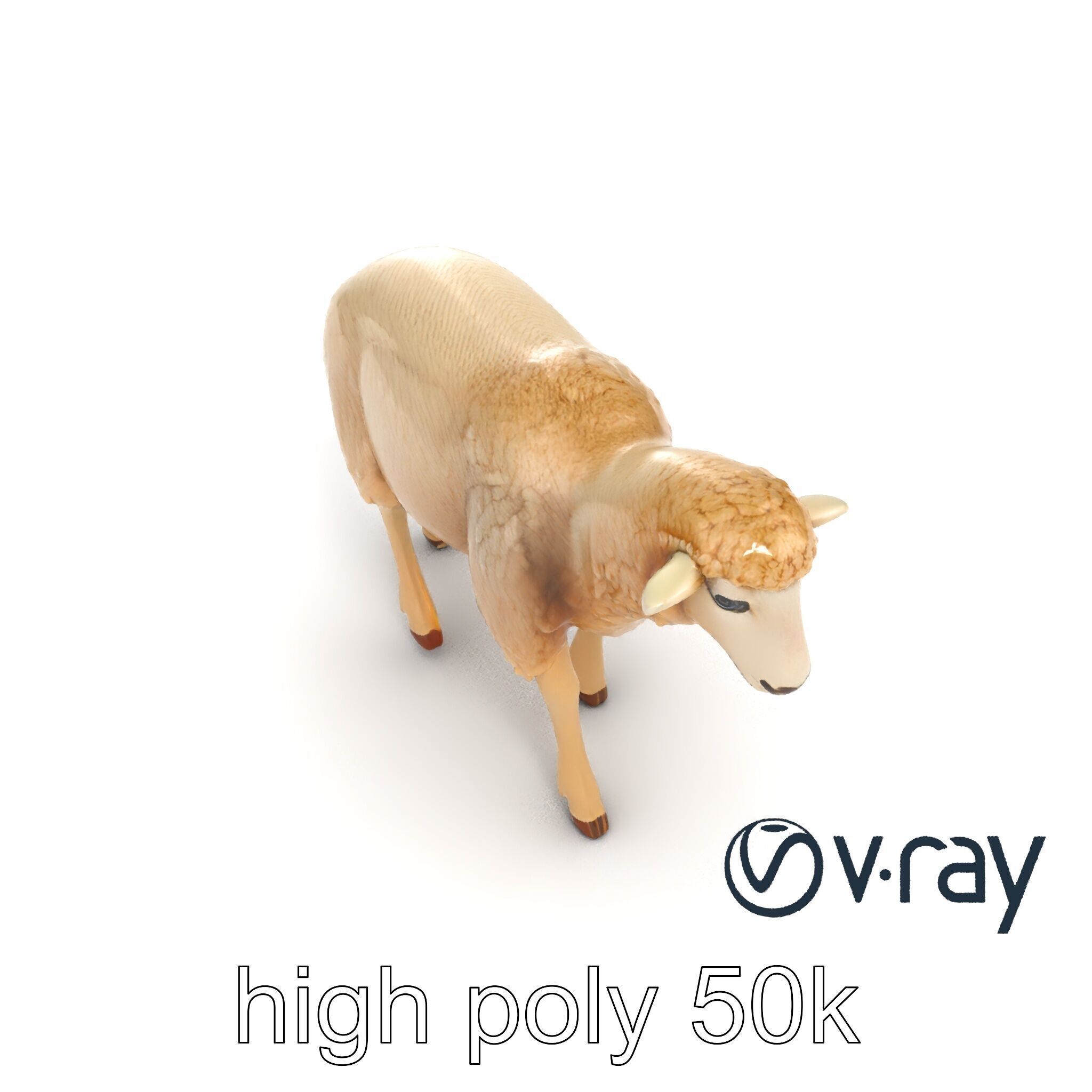 Fluffy Sheep Grazing Stance model pack Low-poly 3D model_26