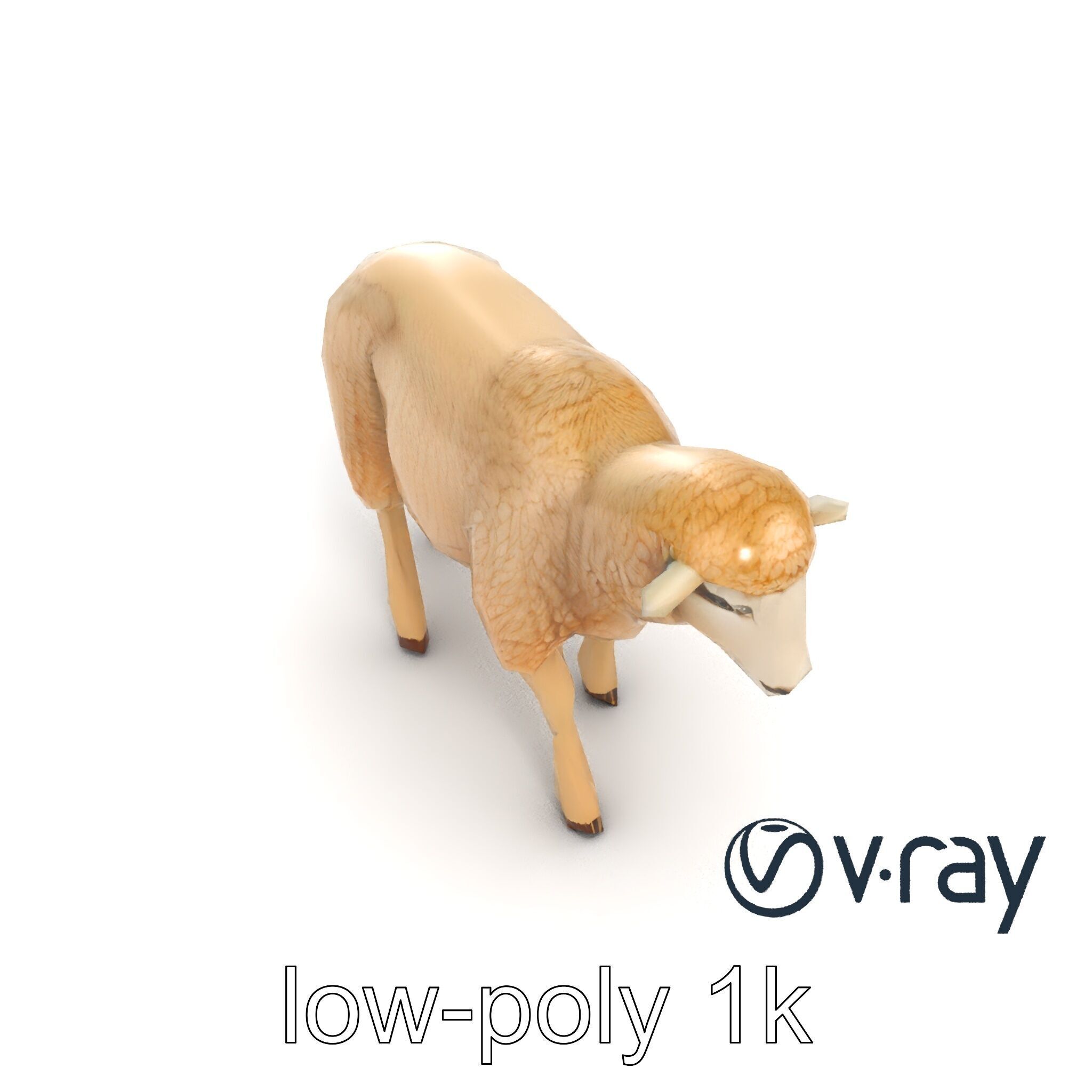 Fluffy Sheep Grazing Stance model pack Low-poly 3D model_25