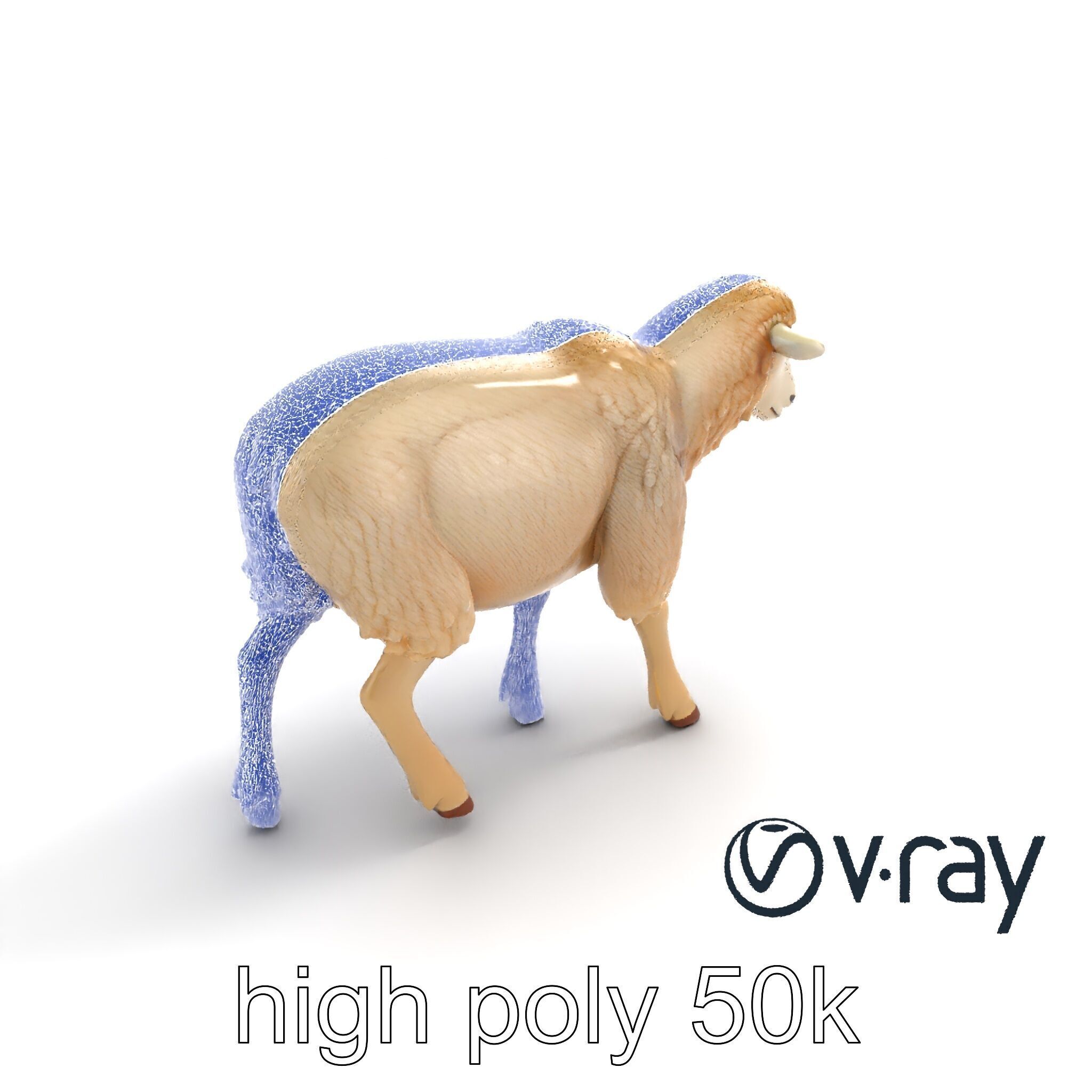 Fluffy Sheep Grazing Stance model pack Low-poly 3D model_21