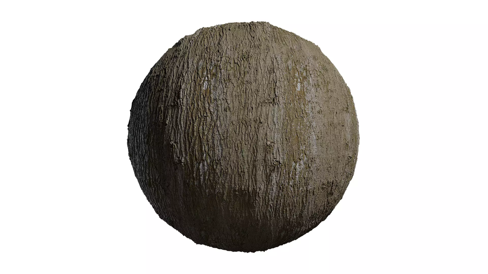 Anydrafts Populus x canadensis Bark 04 Texture