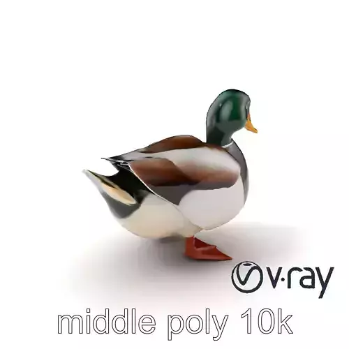 Glossy Green-headed Duck Animation Model Pack Low-poly 3D model