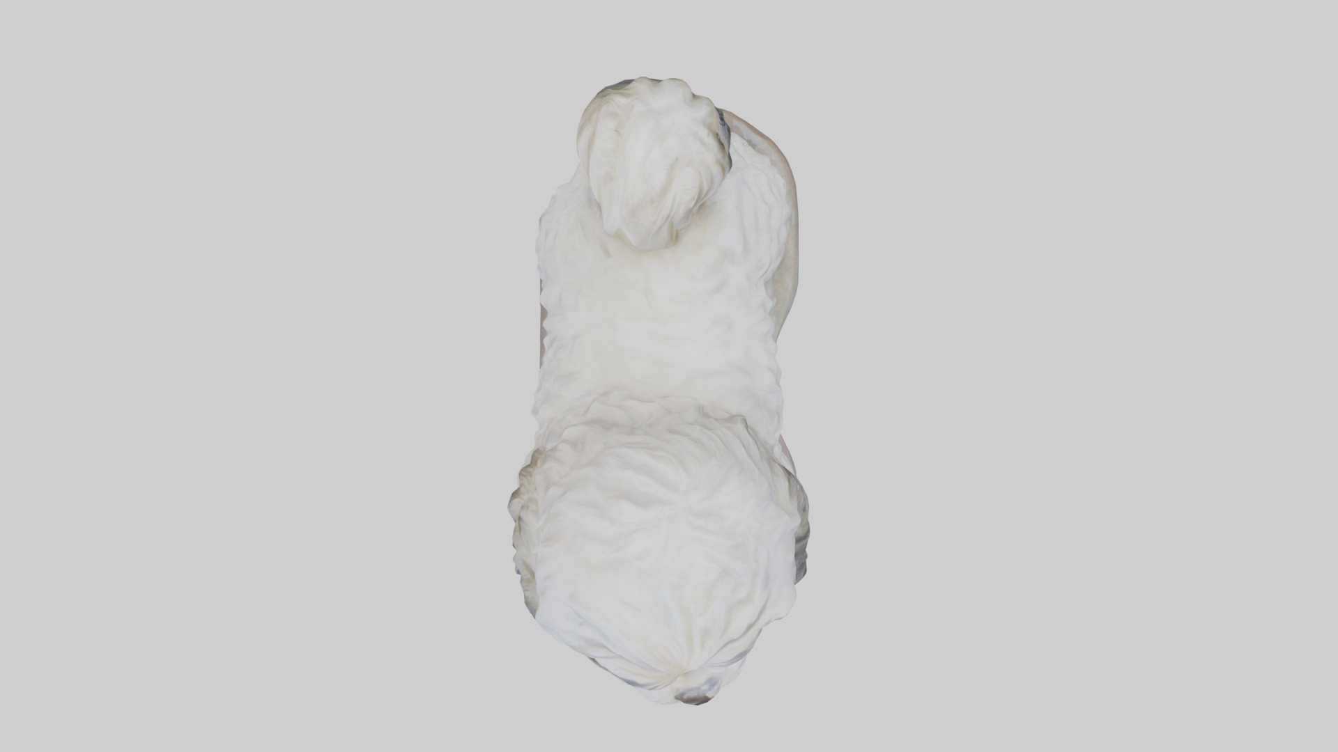 Lhasa Apso statue model Low-poly 3D model_14