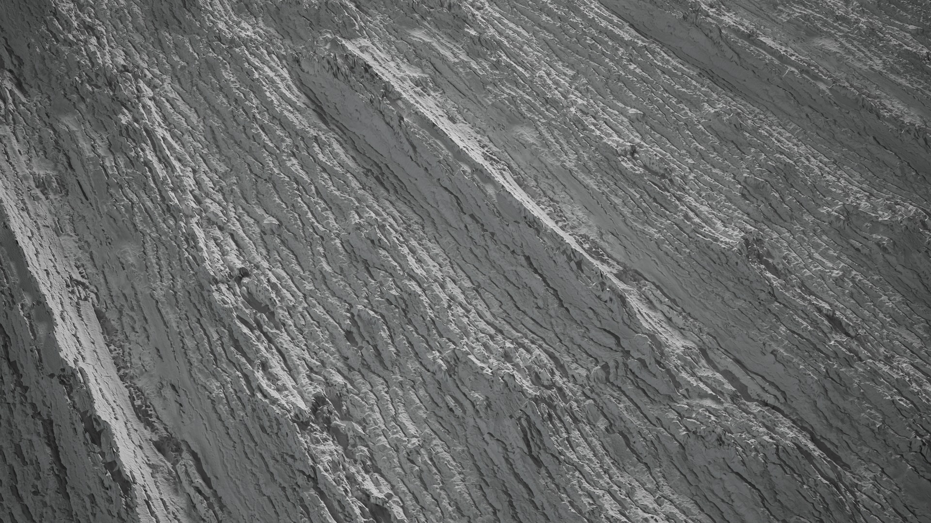 Anydrafts Populus x canadensis Bark 05 Texture_3