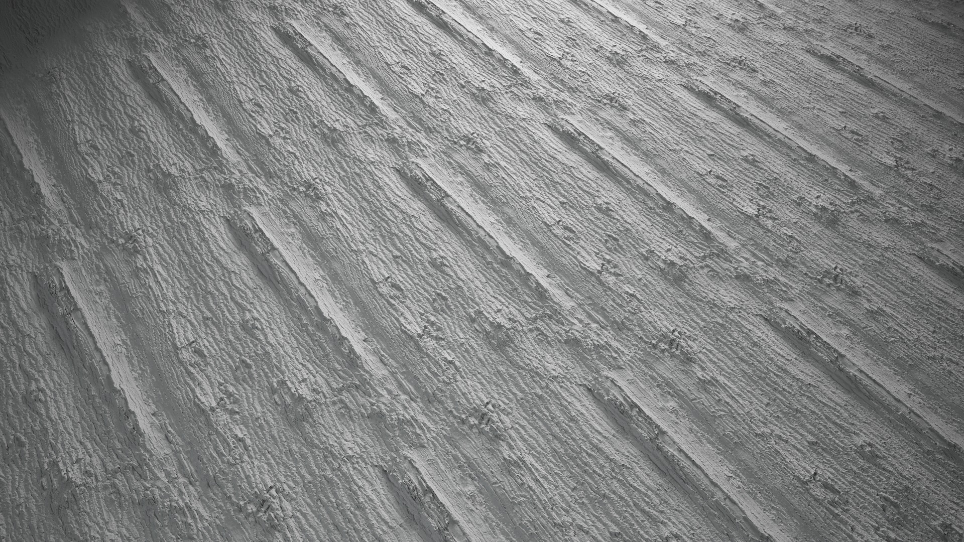 Anydrafts Populus x canadensis Bark 05 Texture_5