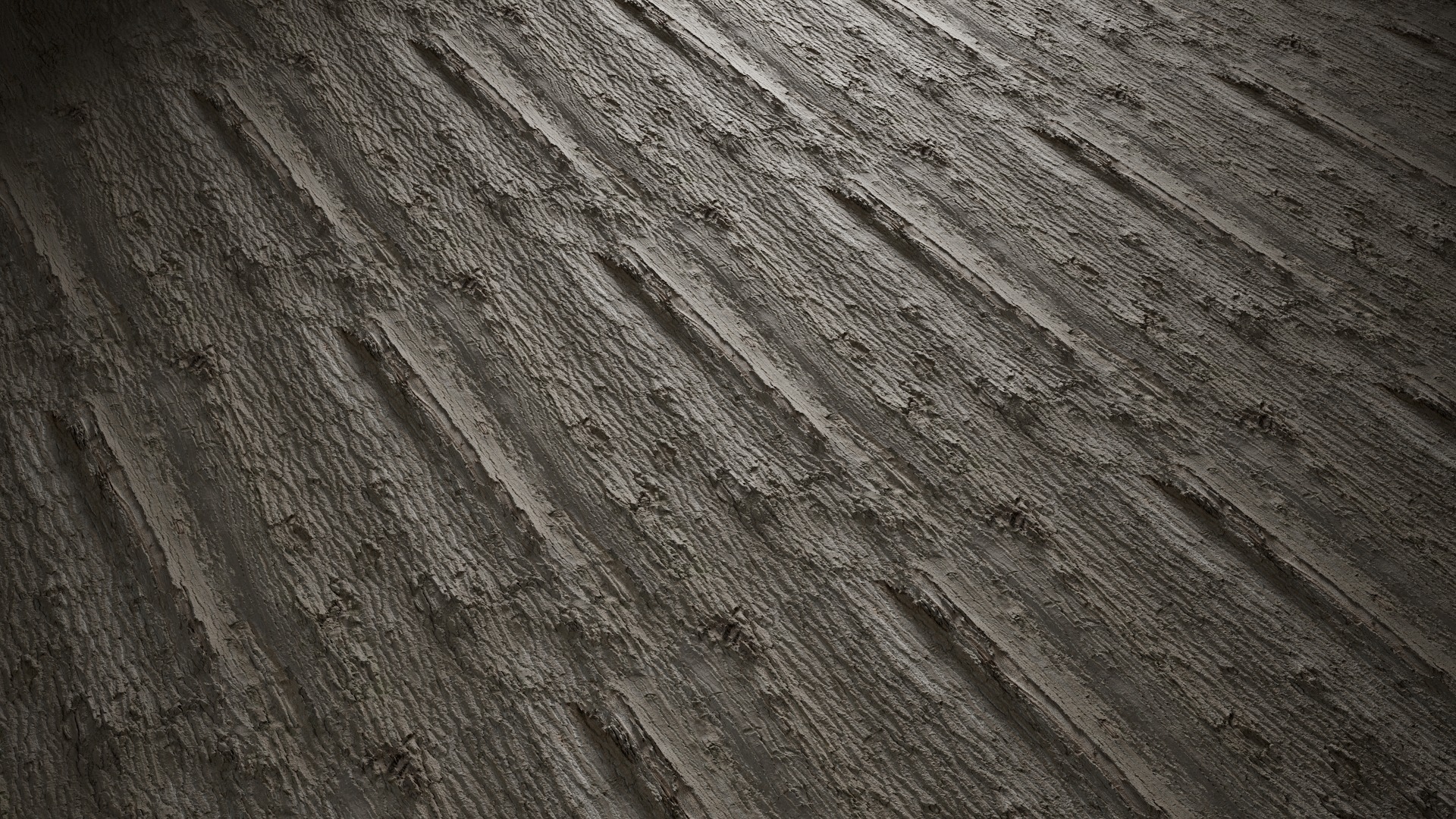 Anydrafts Populus x canadensis Bark 05 Texture_4