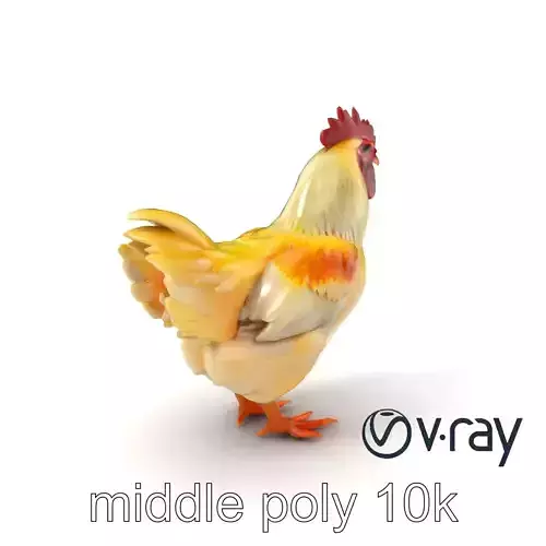 Farmyard Chicken Model Pack with Realistic Feather Details