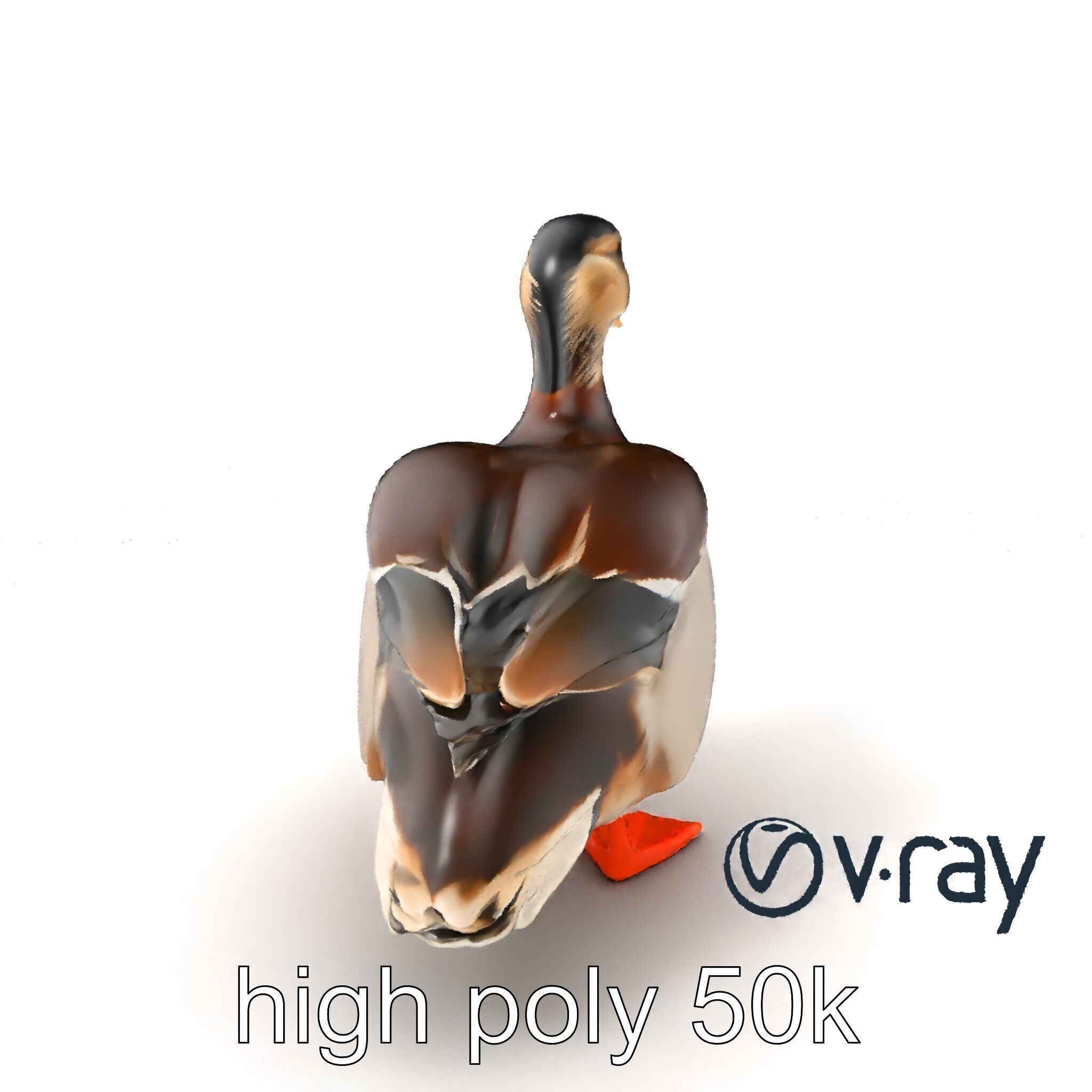 Mallard Duck Wildlife Sculpture model pack Low-poly 3D model_6