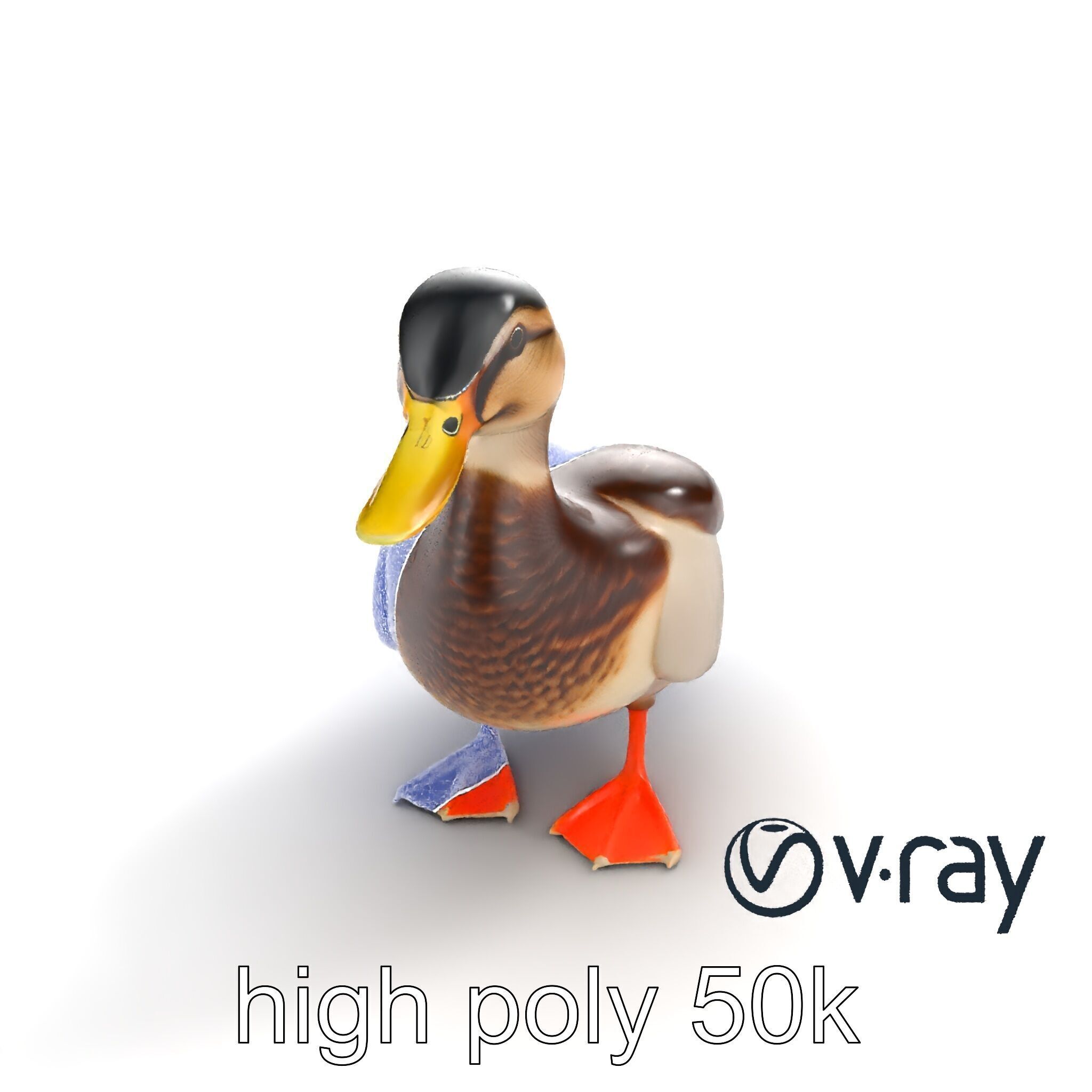 Mallard Duck Wildlife Sculpture model pack Low-poly 3D model_12