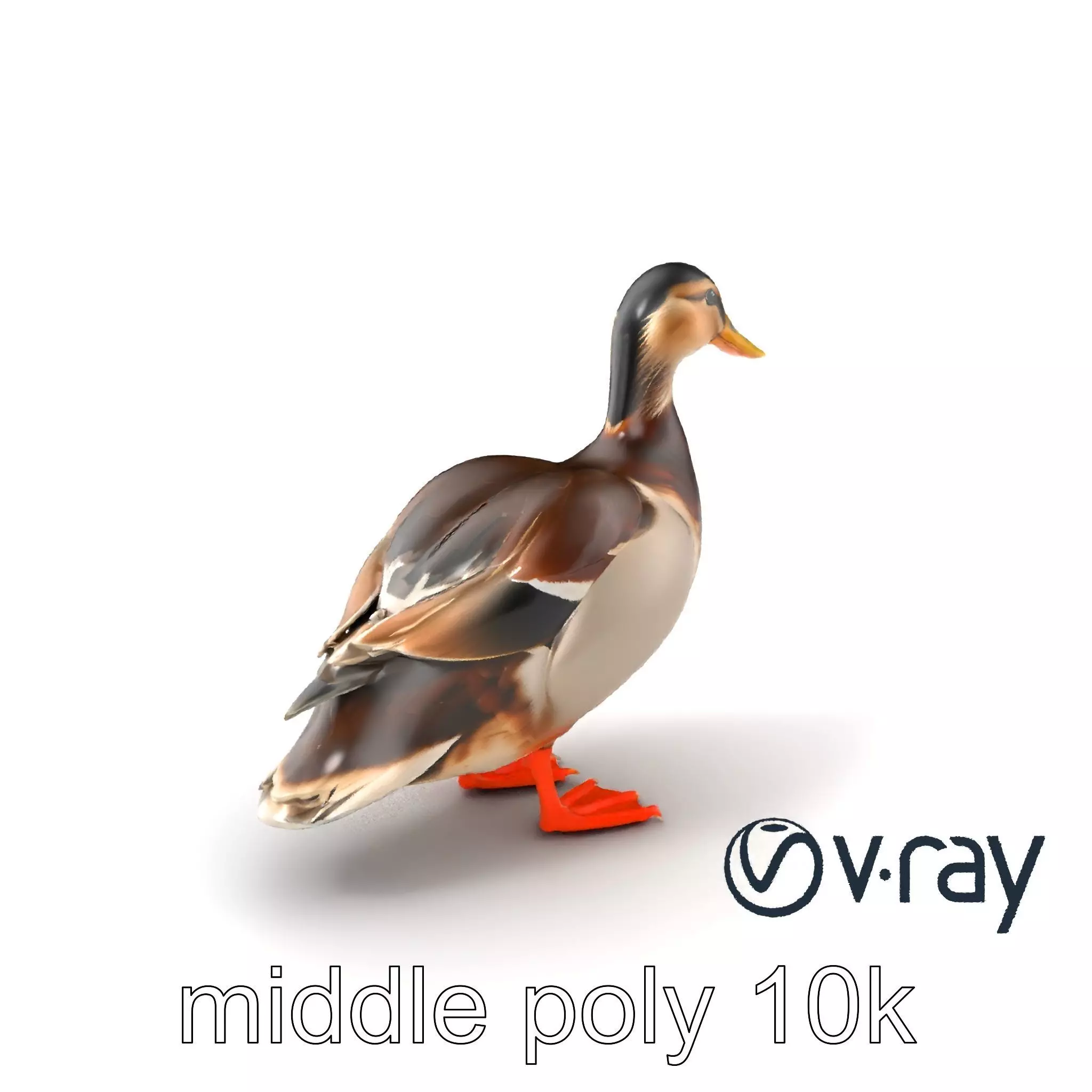 Mallard Duck Wildlife Sculpture model pack Low-poly 3D model_0
