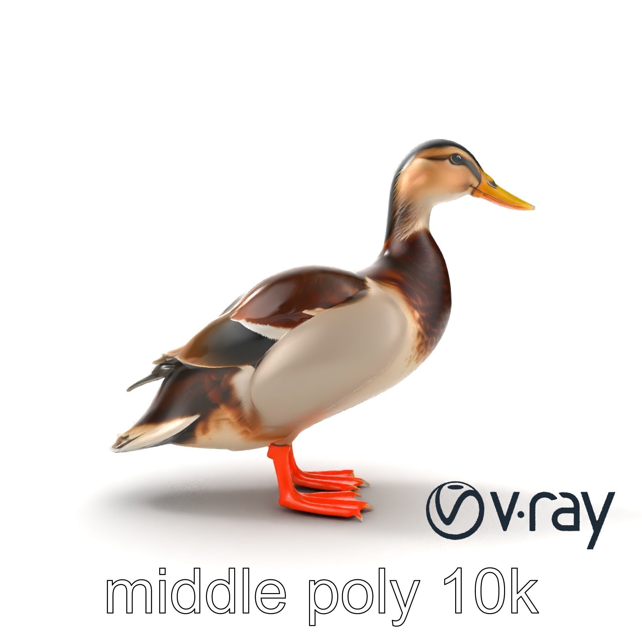 Mallard Duck Wildlife Sculpture model pack Low-poly 3D model_16