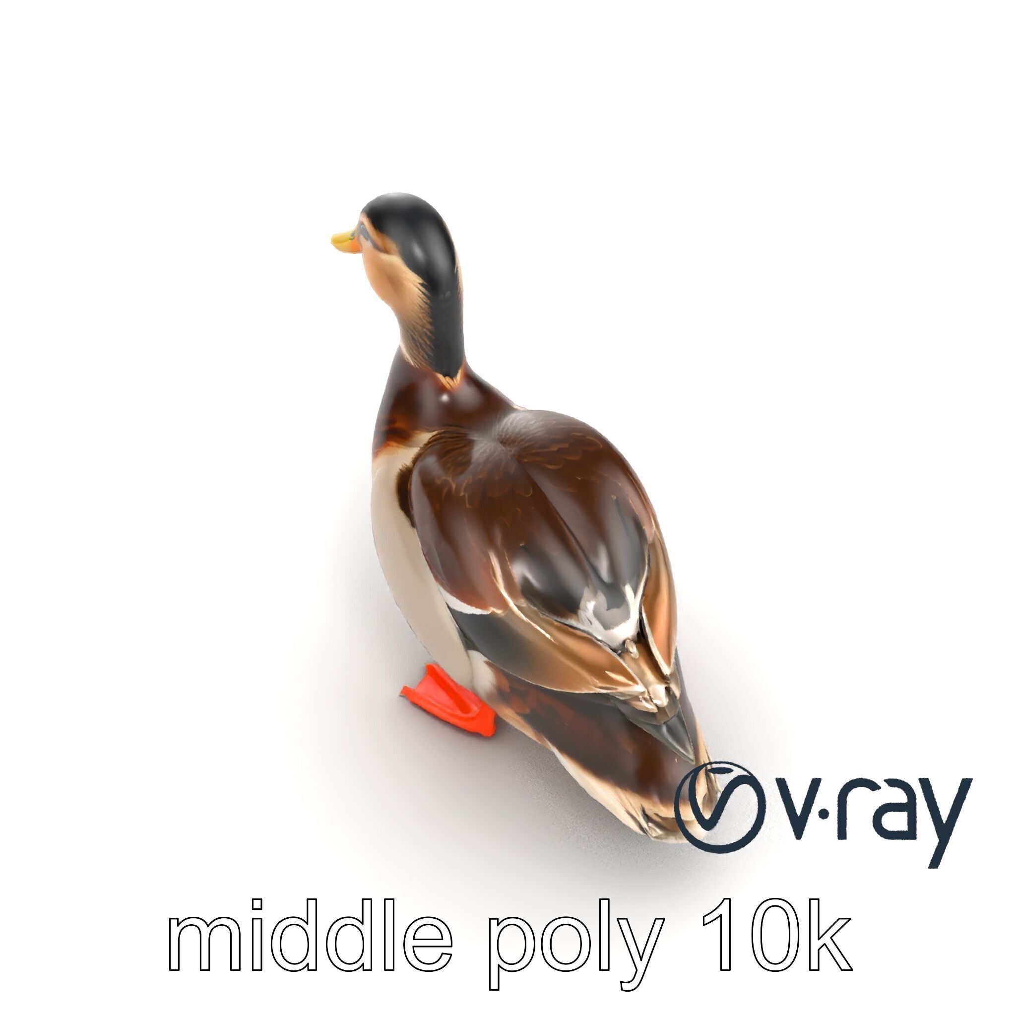 Mallard Duck Wildlife Sculpture model pack Low-poly 3D model_15
