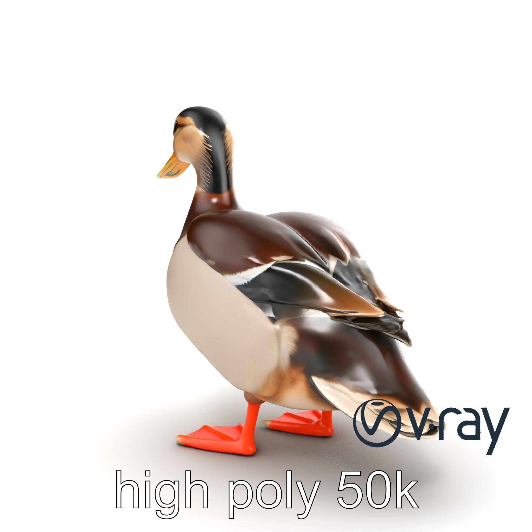 Mallard Duck Wildlife Sculpture model pack Low-poly 3D model_20