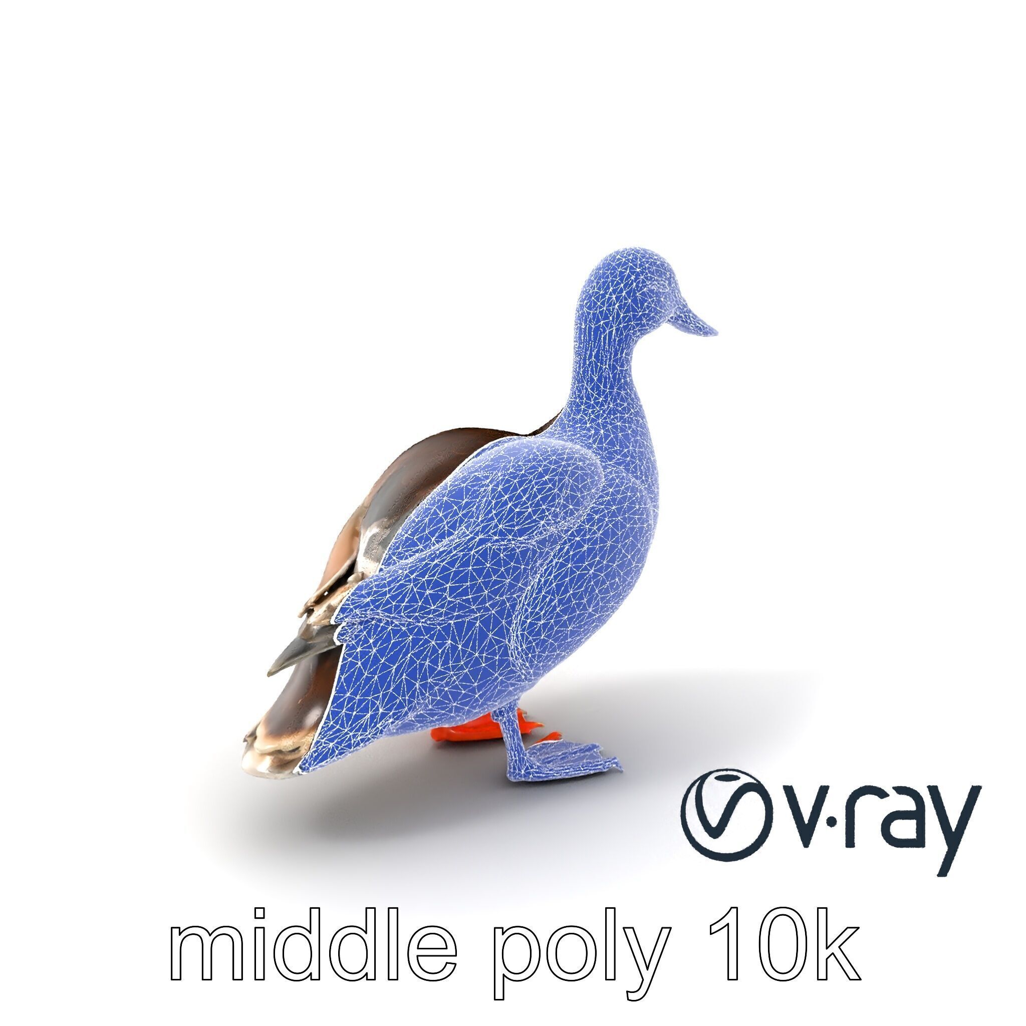 Mallard Duck Wildlife Sculpture model pack Low-poly 3D model_4