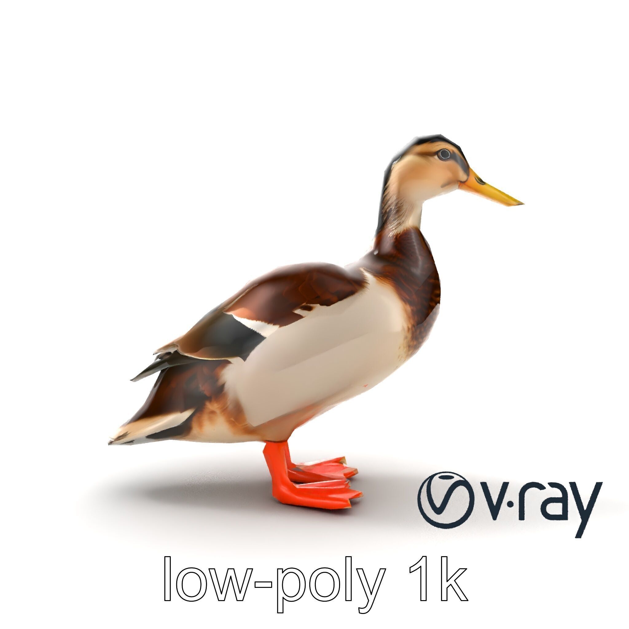 Mallard Duck Wildlife Sculpture model pack Low-poly 3D model_13
