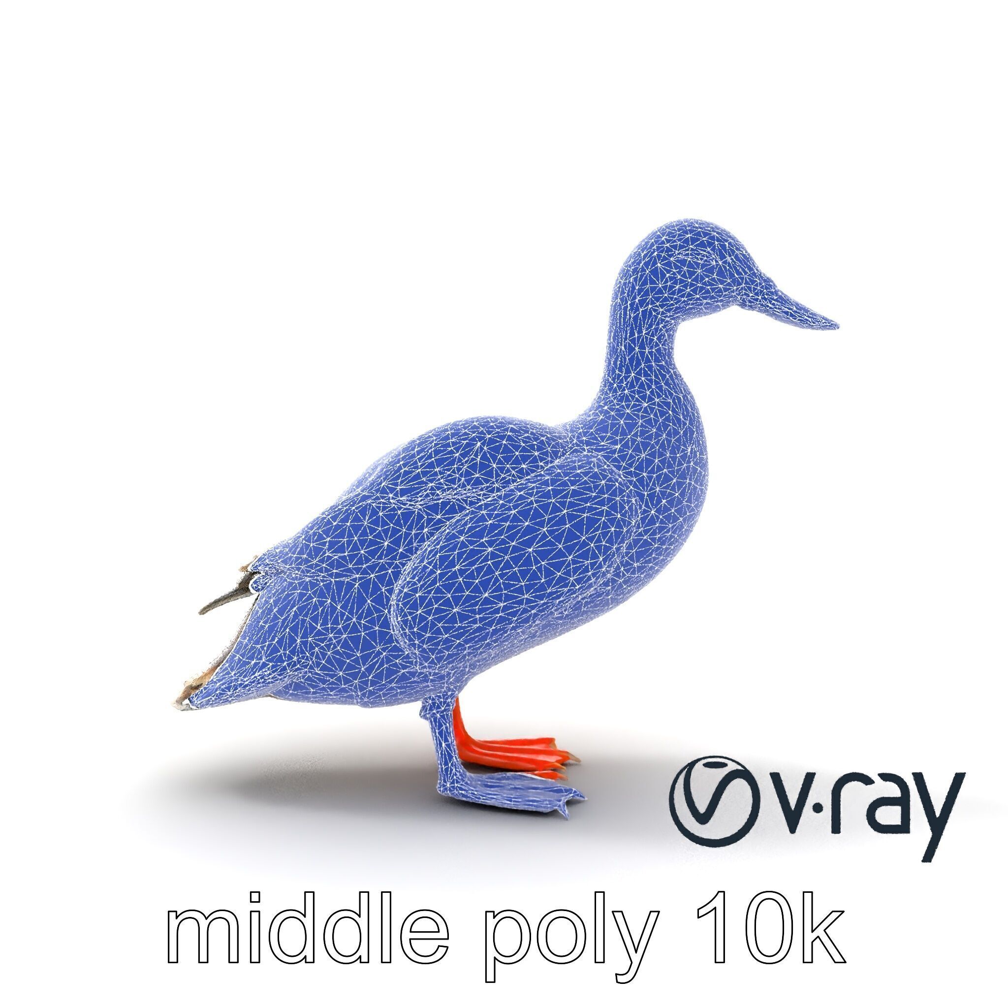 Mallard Duck Wildlife Sculpture model pack Low-poly 3D model_25